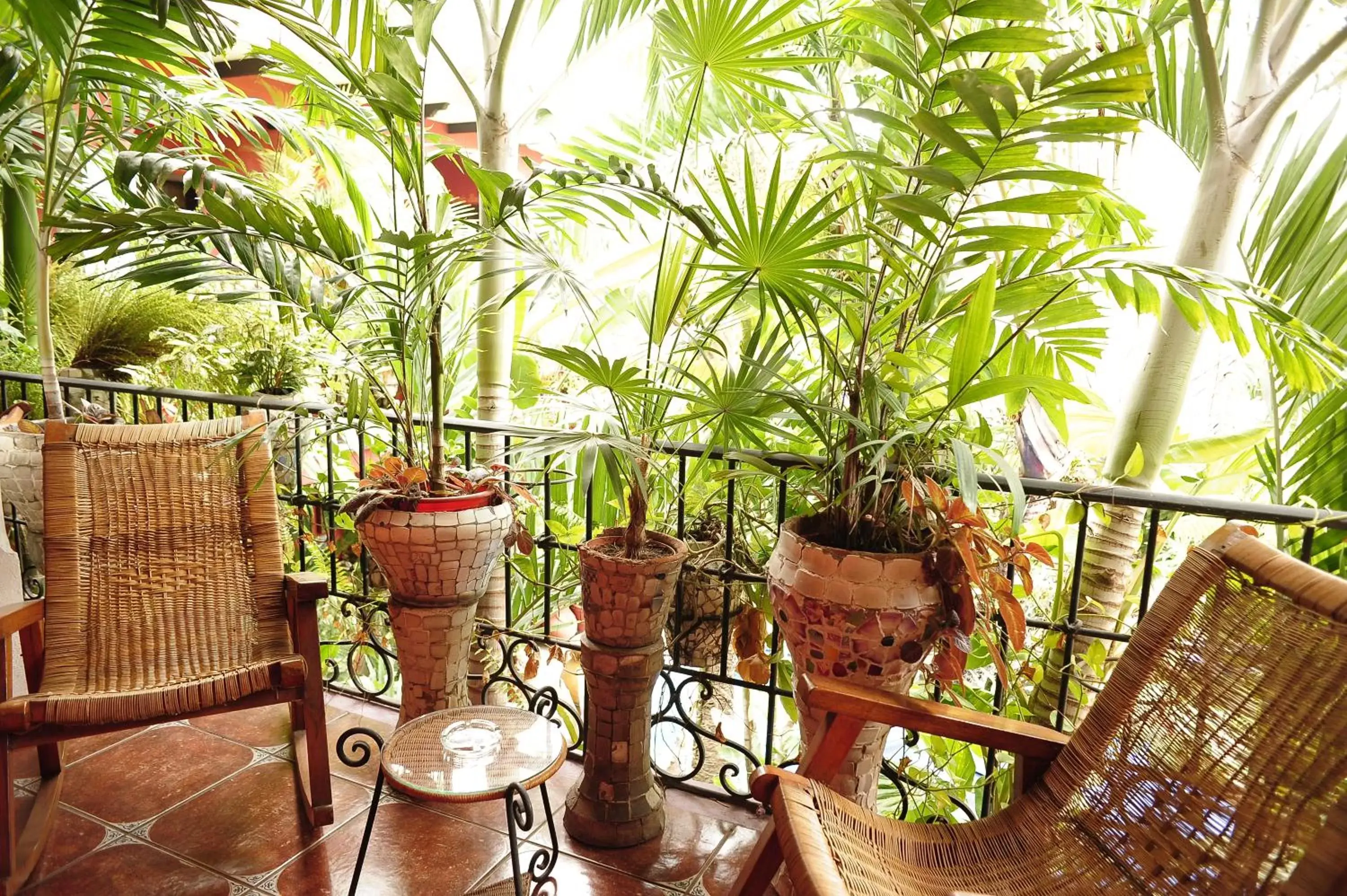 Balcony/Terrace in Hotel Boutique Casona Maya Mexicana