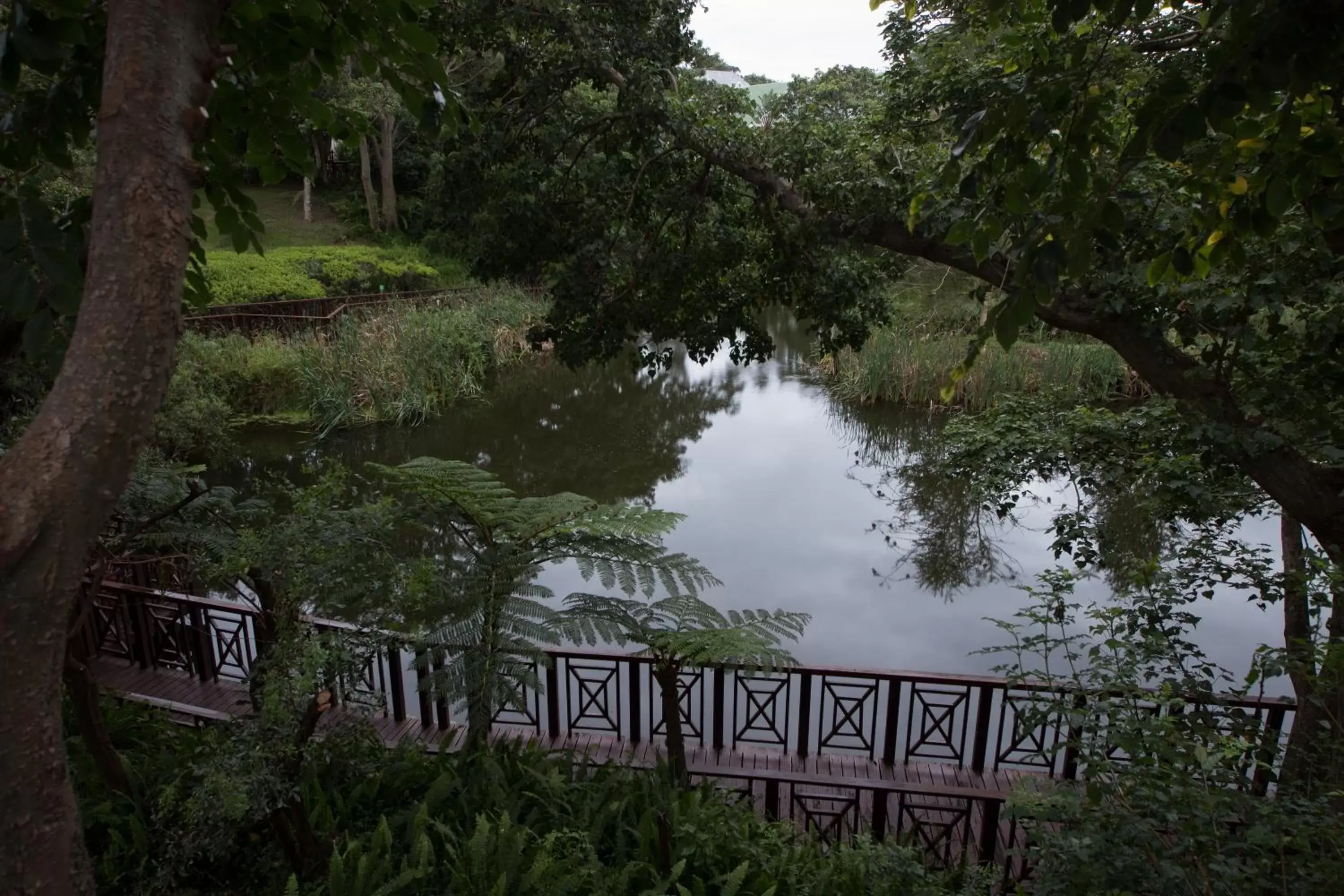 Lake view in Quarry Lake Inn