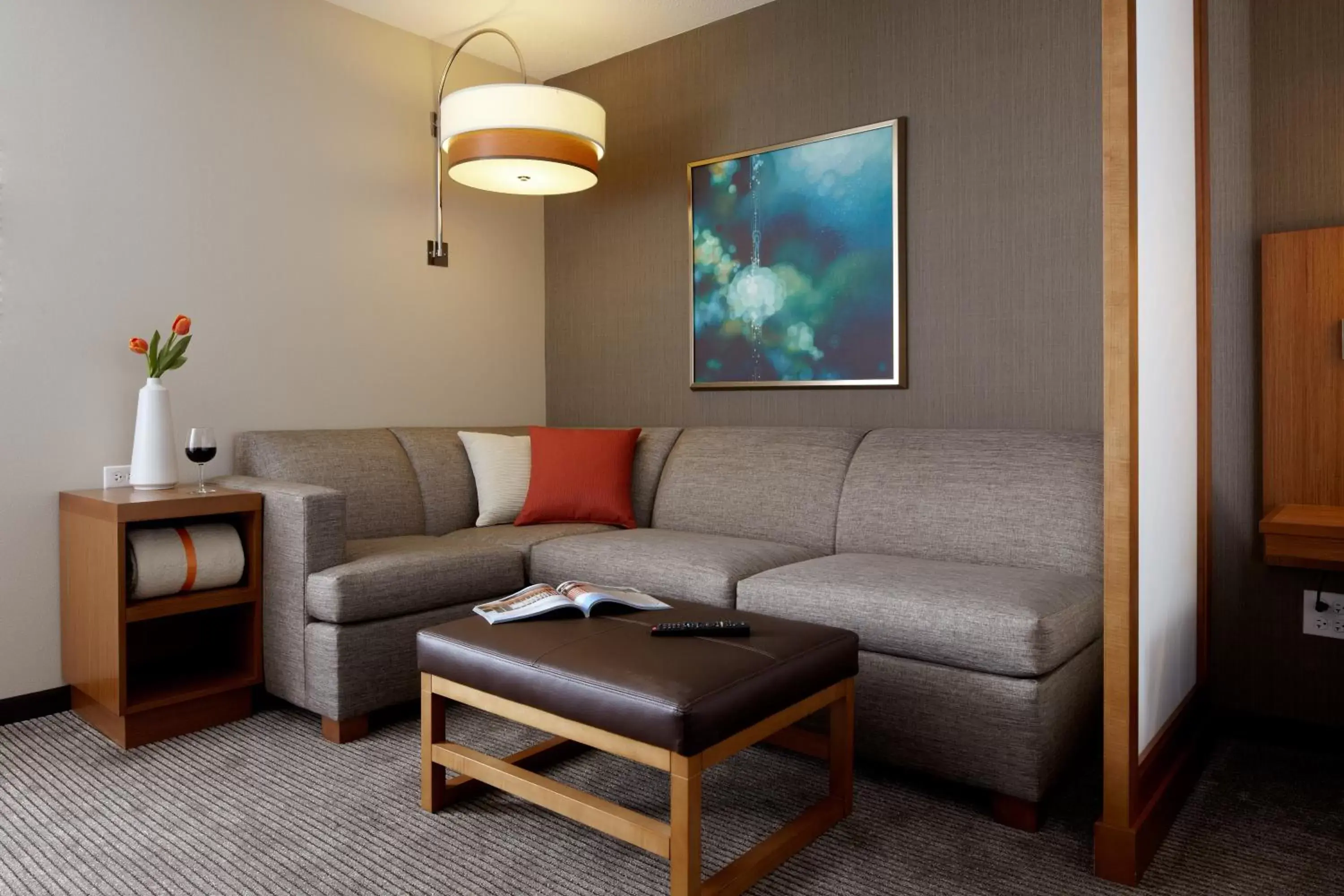 King Room with Sofa Bed and Roll-In Shower - Disability Access in Hyatt Place Delray Beach