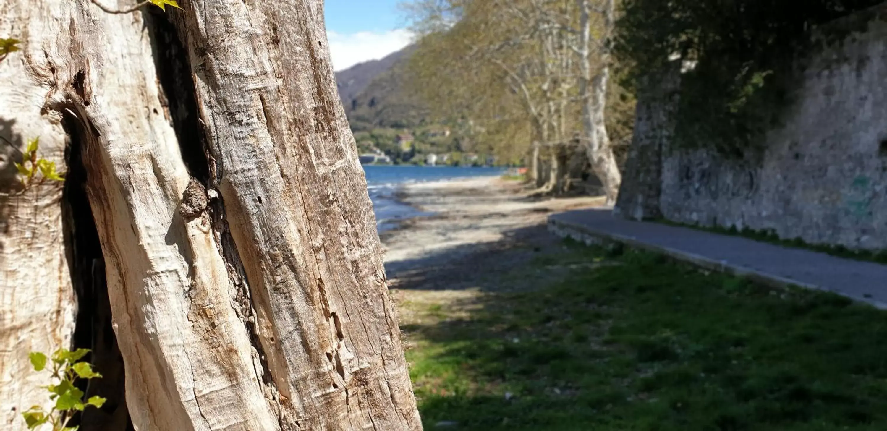 Natural Landscape in La Casa Sul Sasso