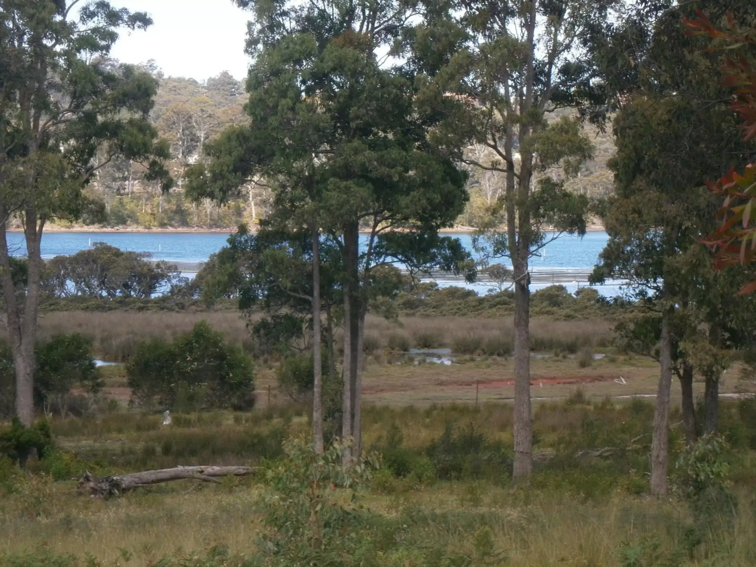 Area and facilities in Top of the Lake Holiday Units