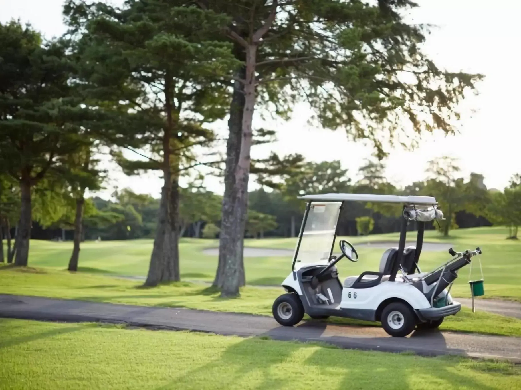 Property building, Golf in Wellness Forest Nasu