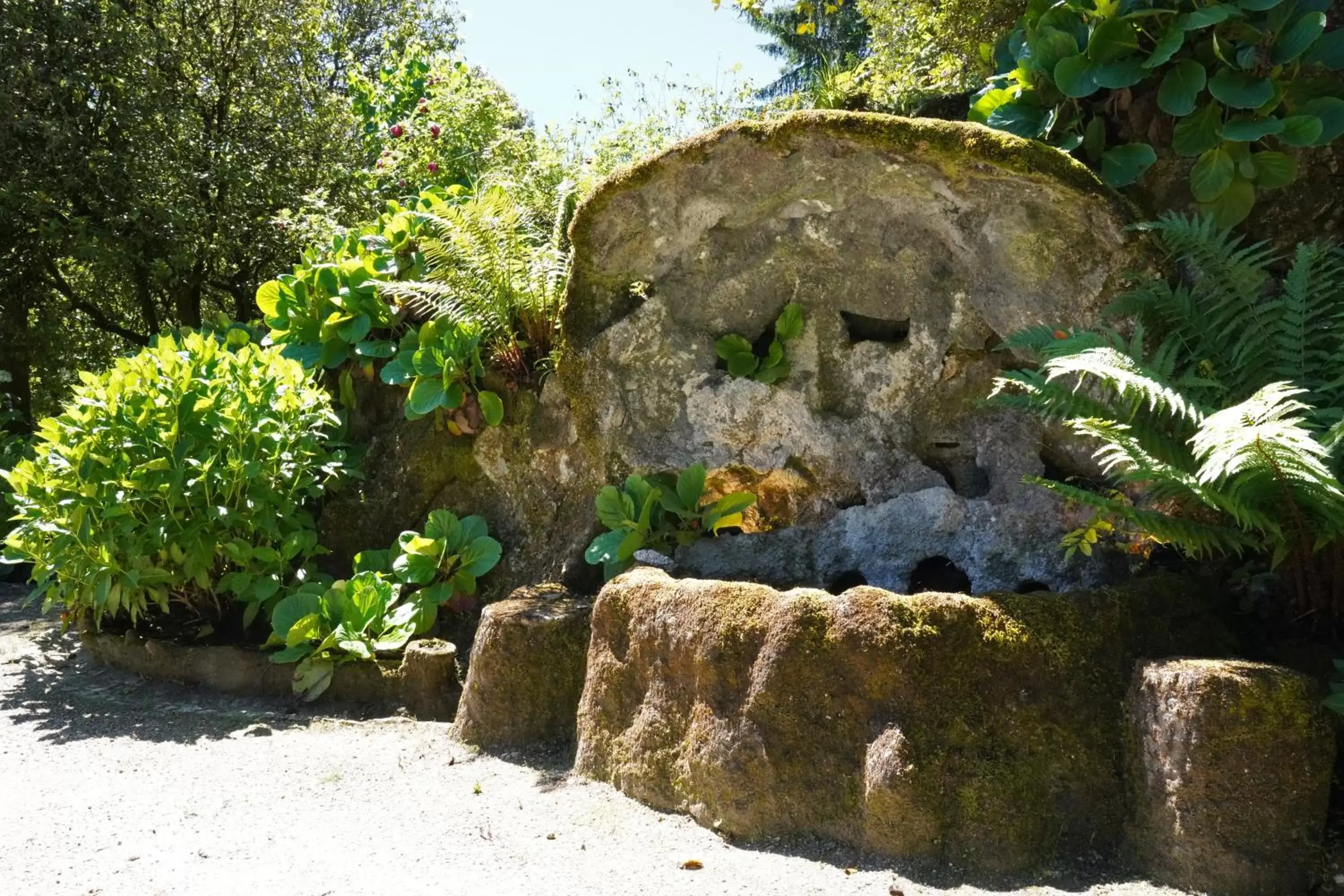 Natural landscape, Property Building in The Grove Houses