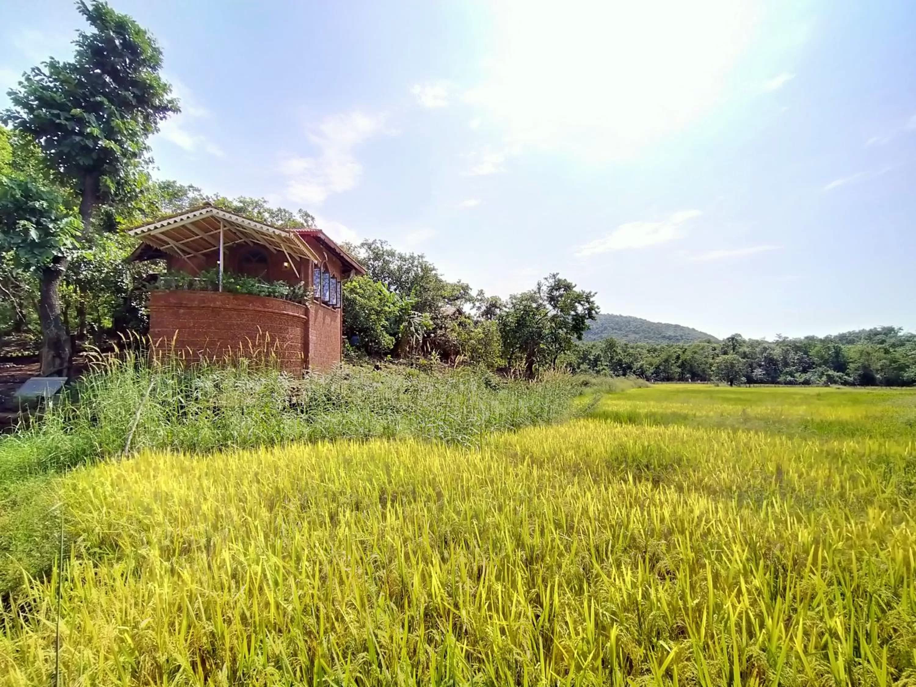 Natural landscape in Porsu