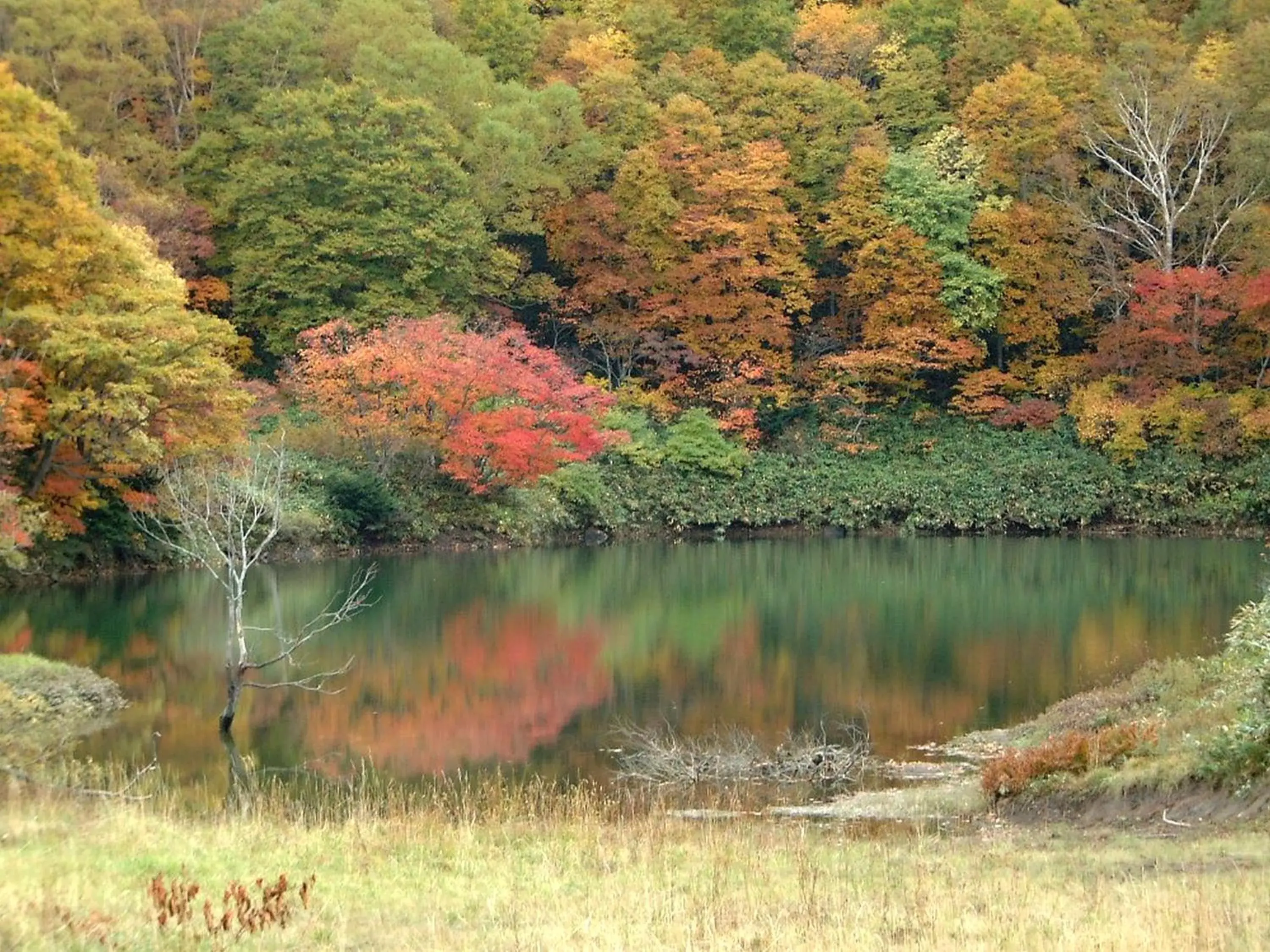 Autumn, Natural Landscape in Zao Kokusai Hotel