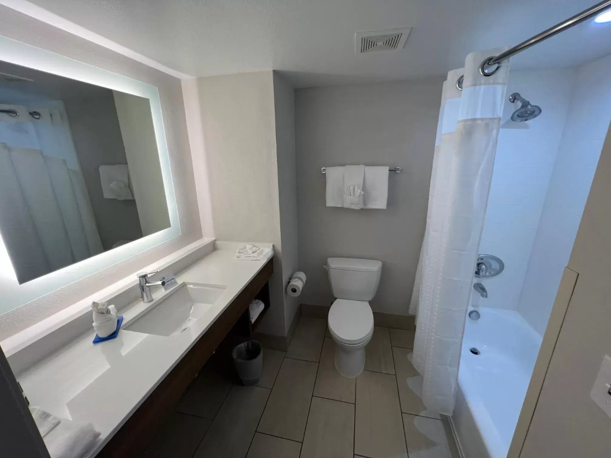 Bathroom in Holiday Inn Express Hotel & Suites Lake Elsinore, an IHG Hotel
