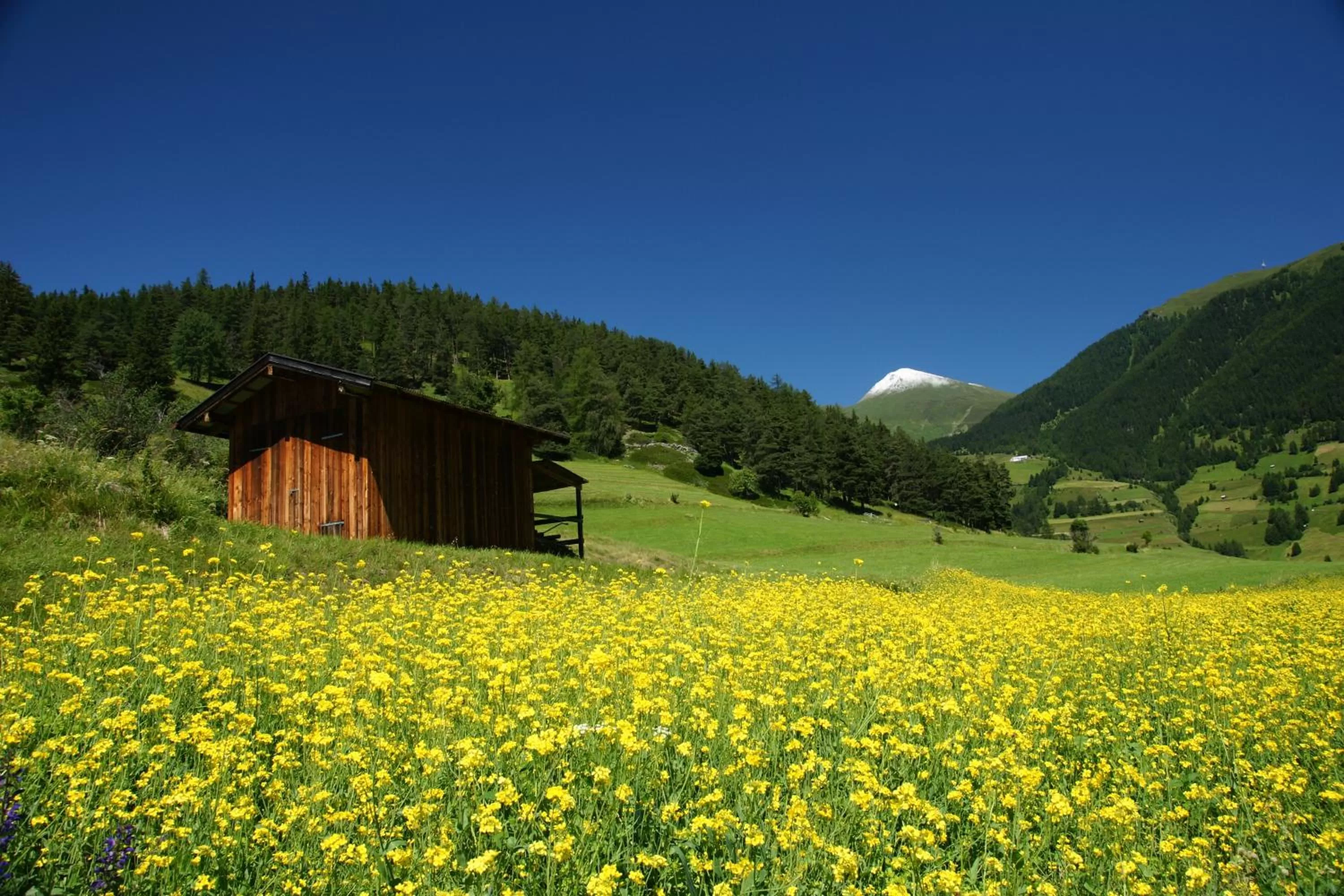 Natural landscape in Alpengasthof Norbertshöhe Superior