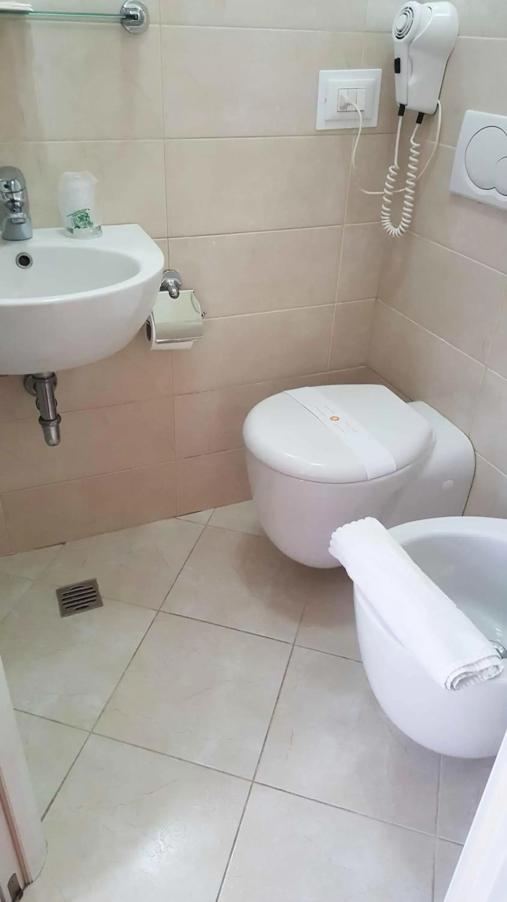 Toilet, Bathroom in Messner Palace