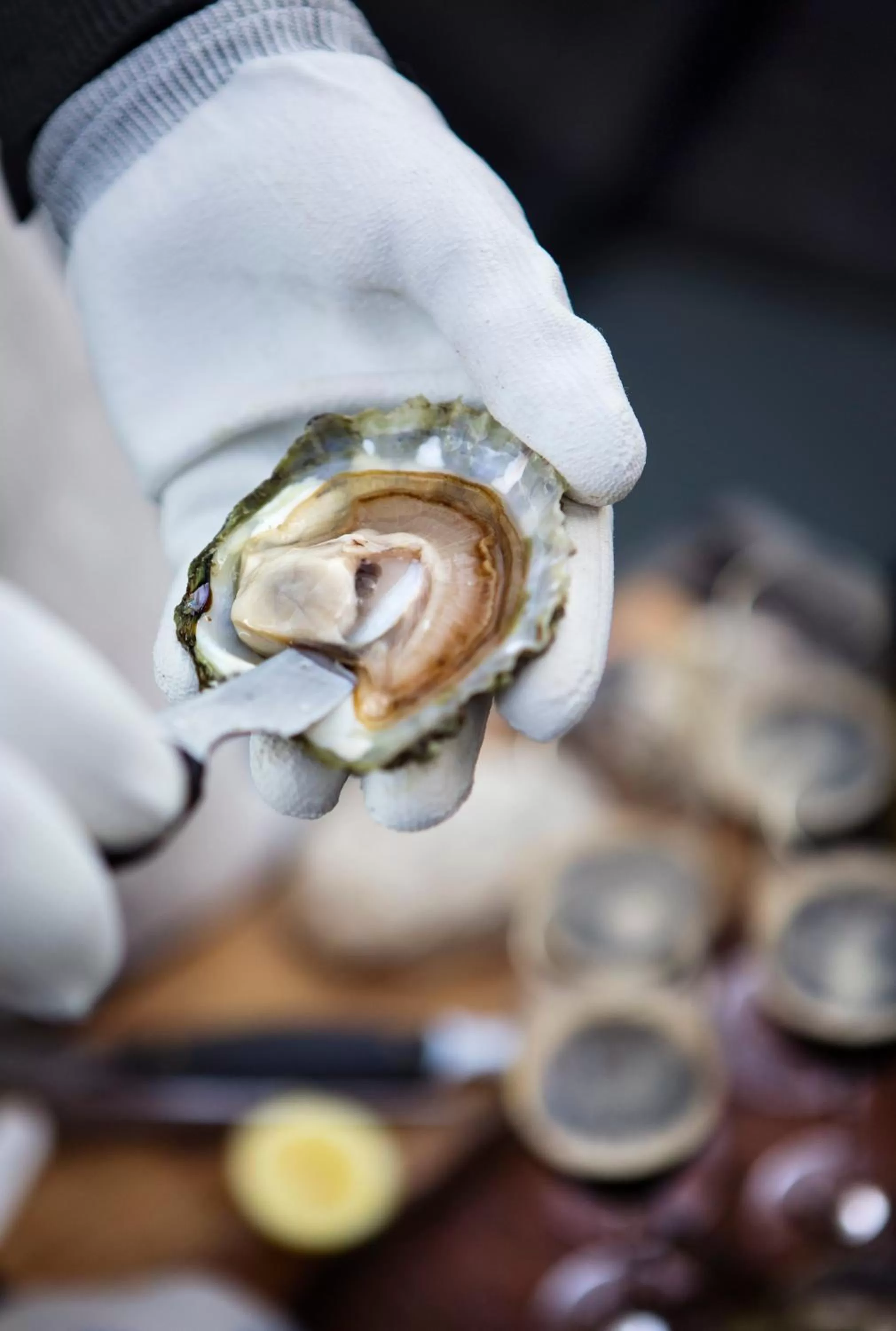 Patio in Everts Sjöbods Bed & Breakfast