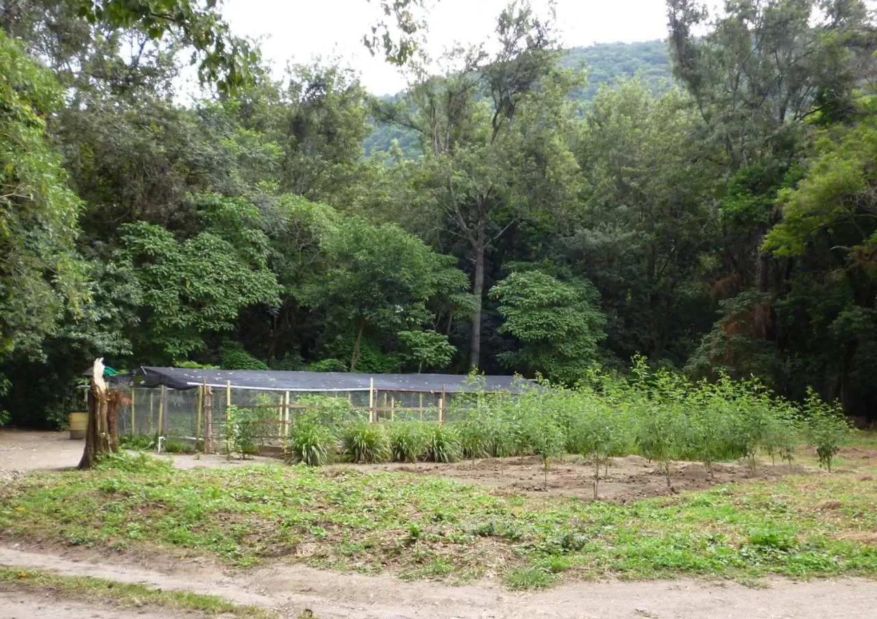 Garden in Hotel San Buenaventura de Atitlán