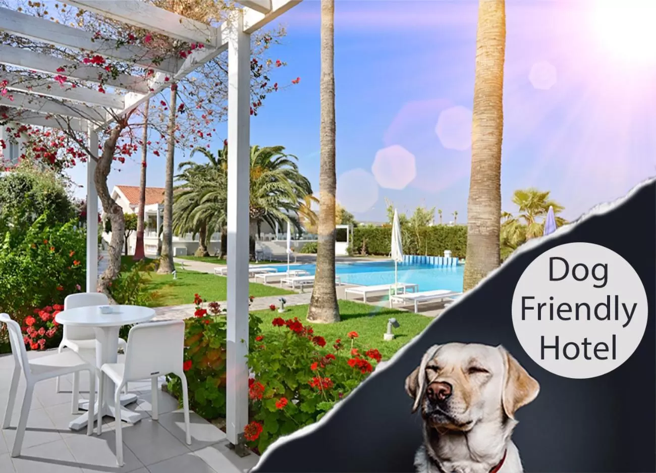 Pets in Mon Repos Hotel