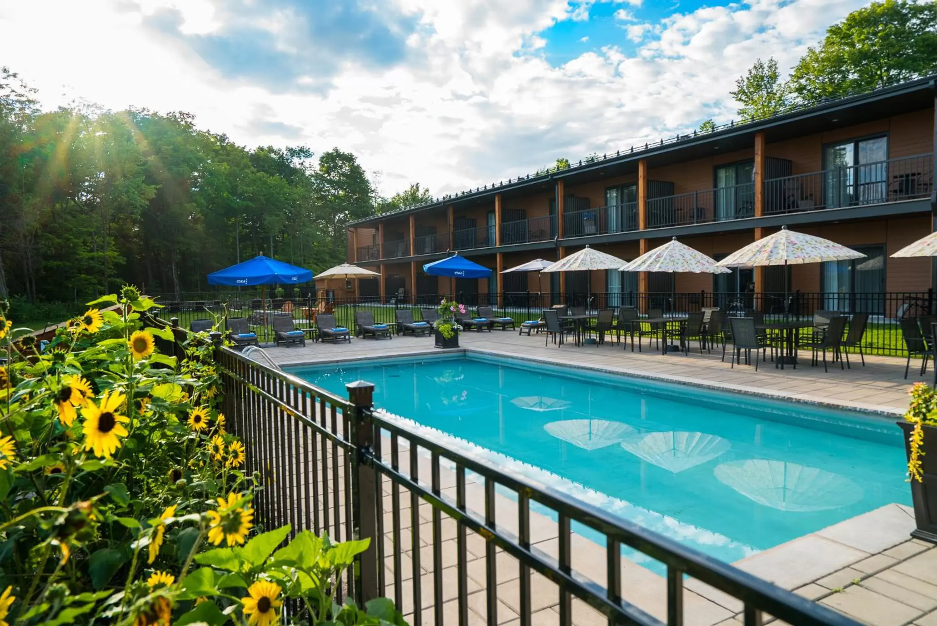 Garden, Swimming Pool in Auberge des Gallant