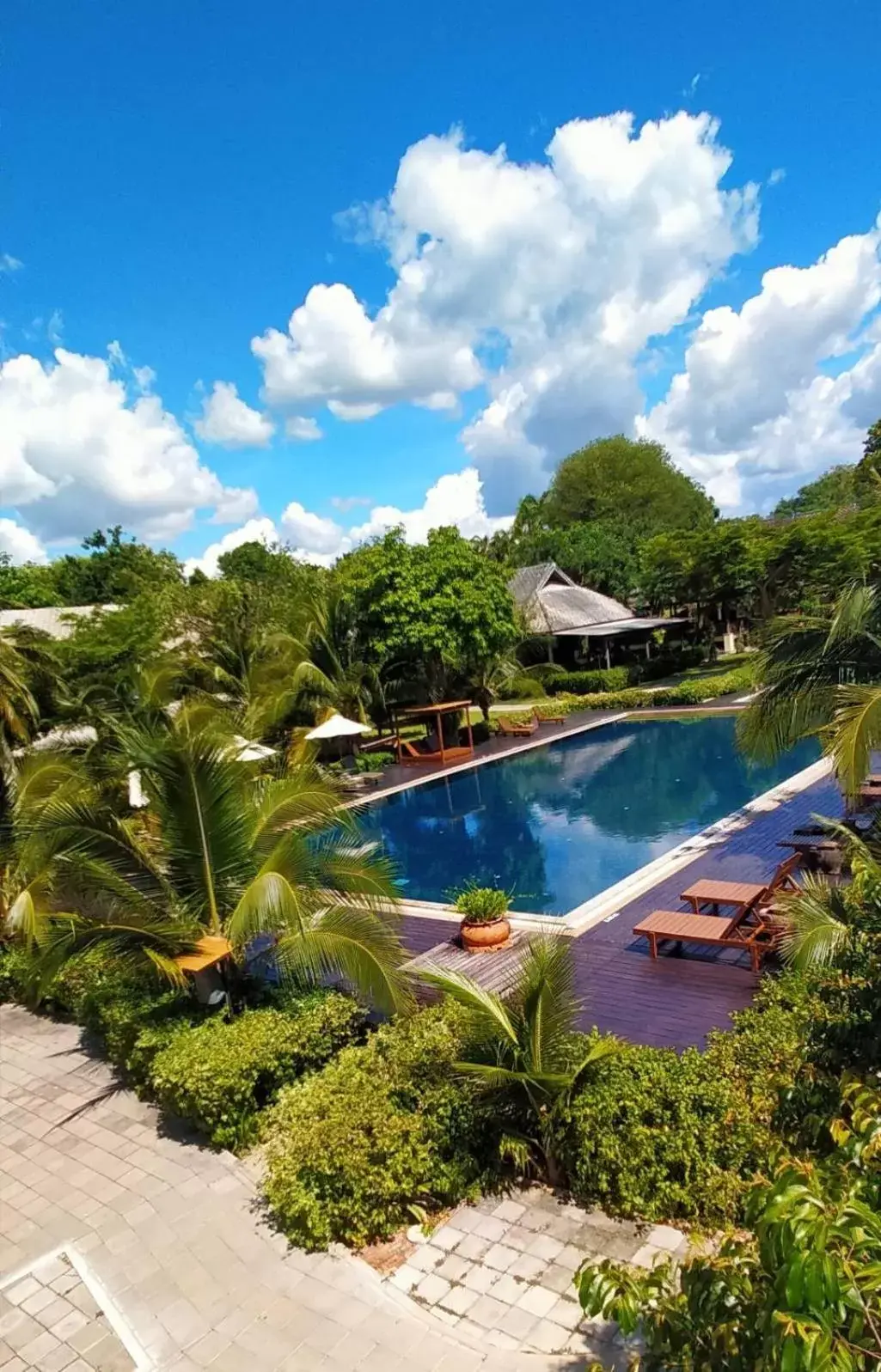 Swimming pool, Pool View in Royal River Kwai Resort and Spa -SHA Extra Plus