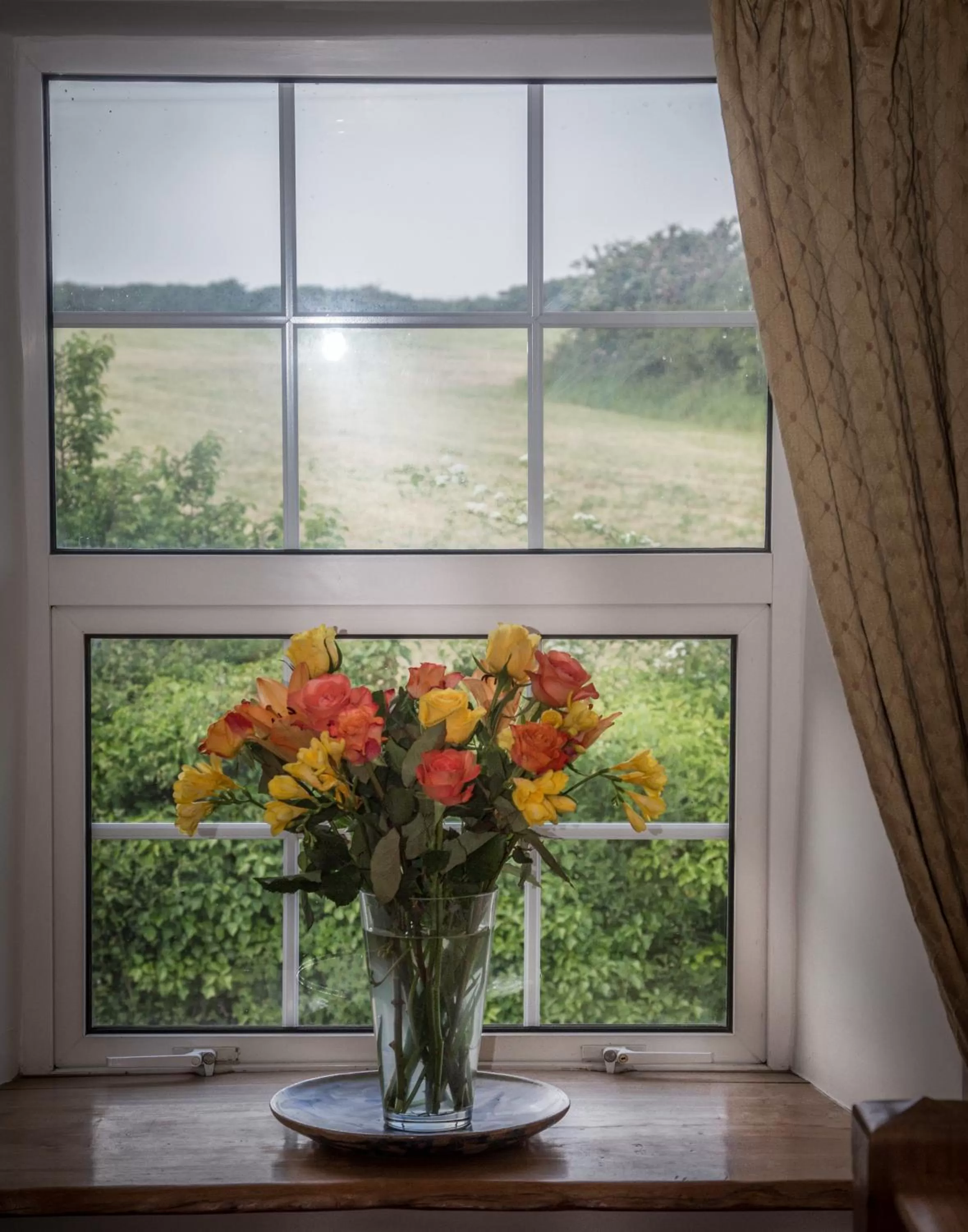 Natural landscape in Treweens