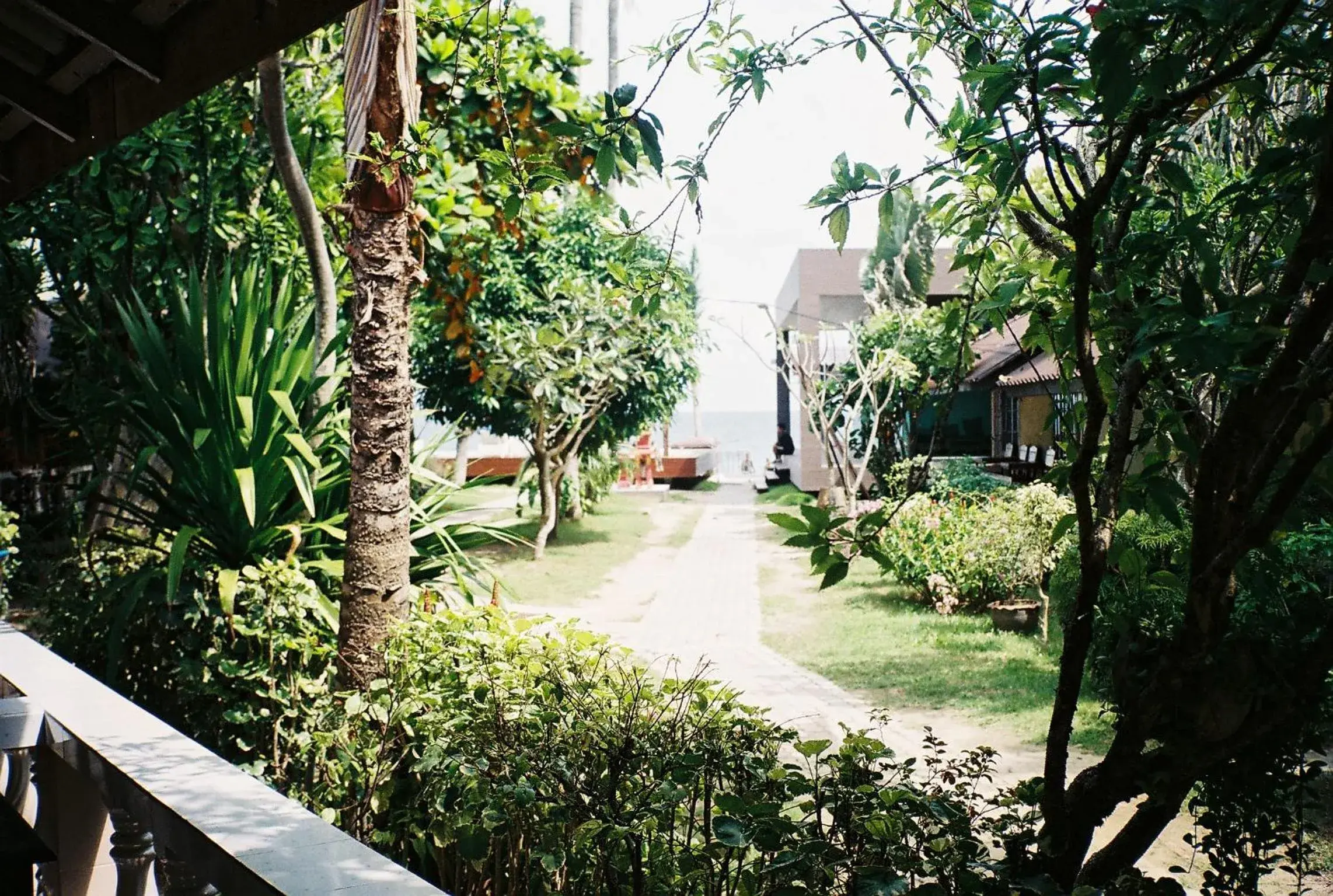 Garden view in Silver Beach Resort