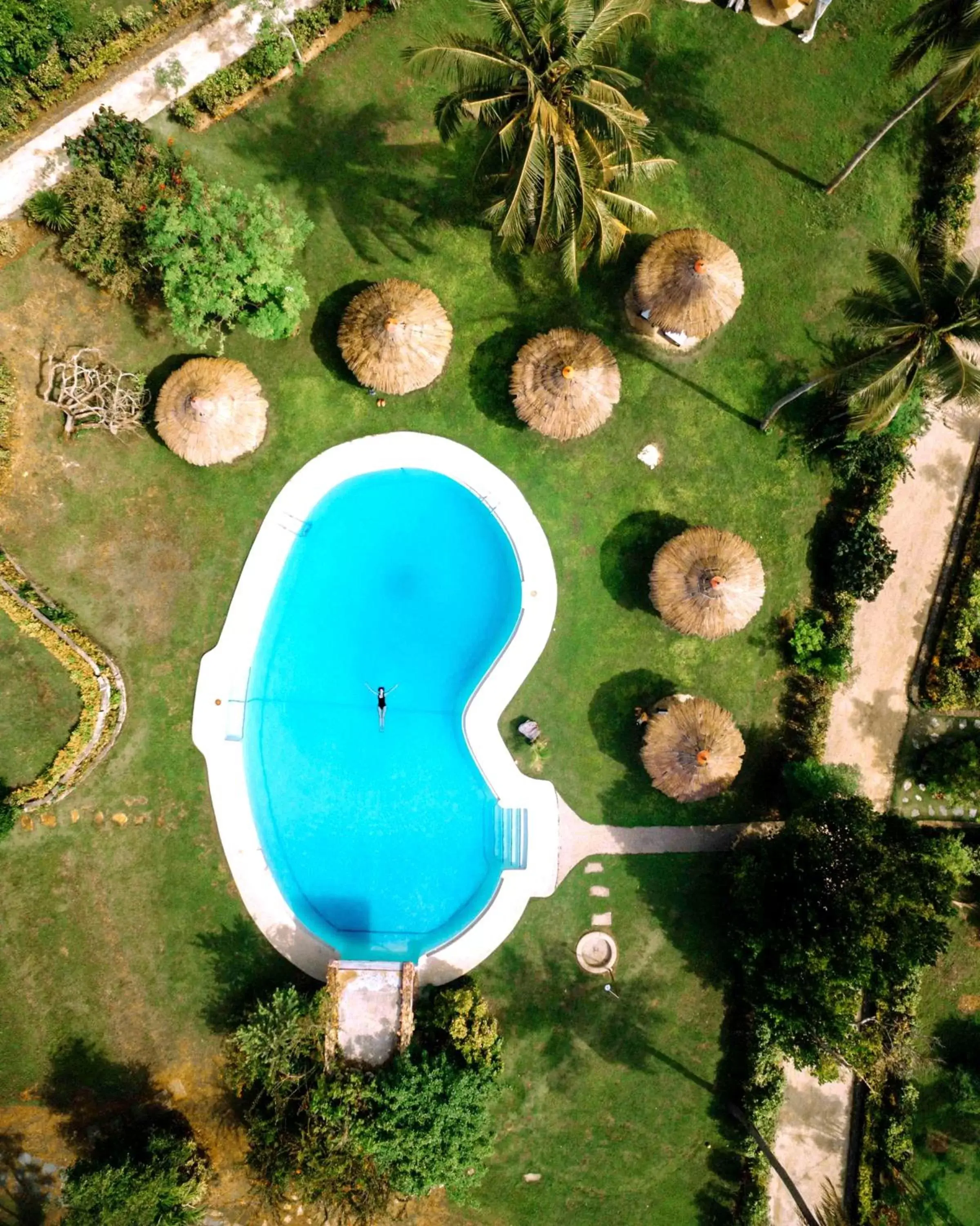 Bird's eye view, Pool View in Badian Island Wellness Resort