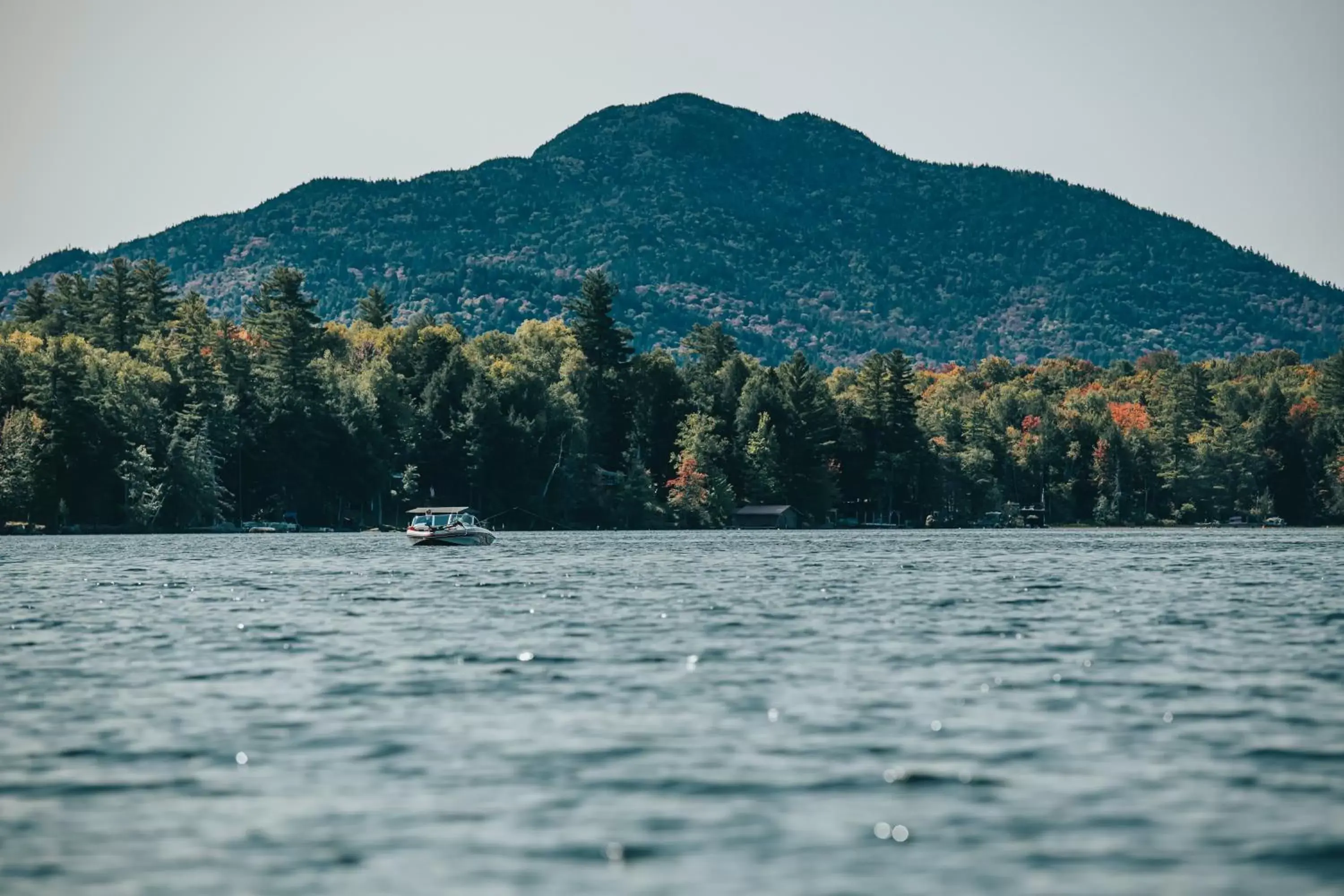 Natural Landscape in Saranac Waterfront Lodge