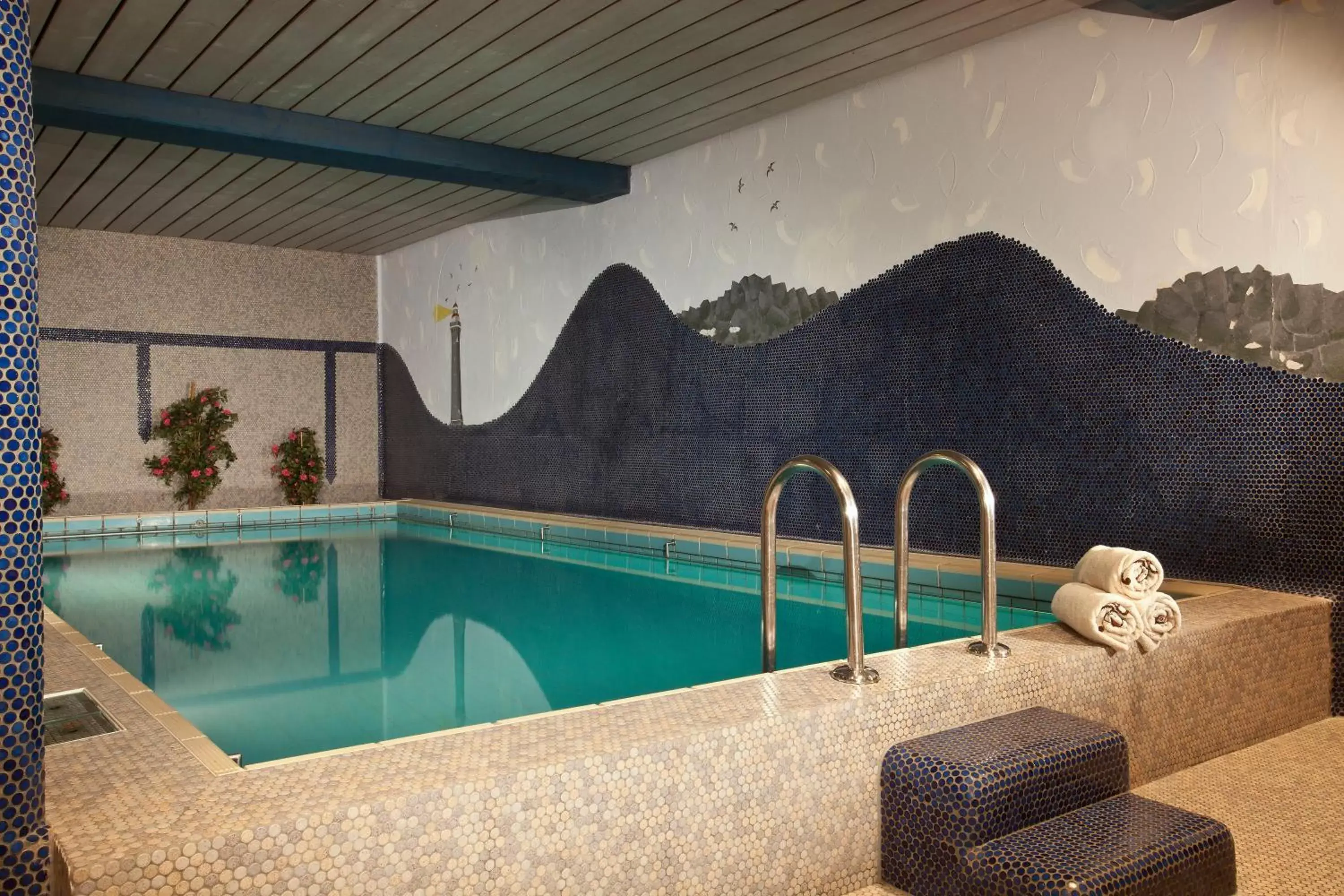 Spa and wellness centre/facilities, Swimming Pool in Parkhotel Sonnenhof