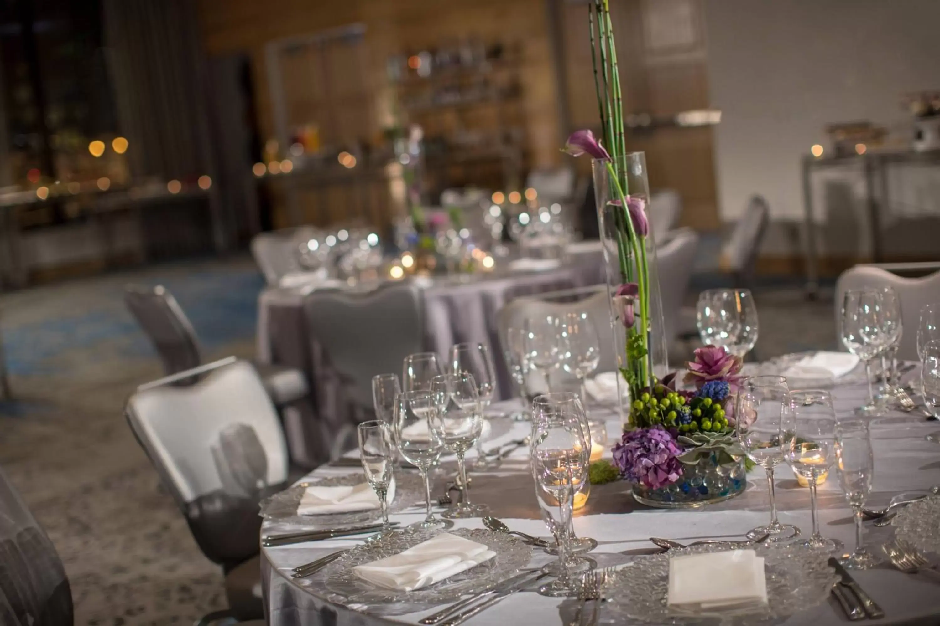 Banquet/Function facilities, Restaurant/Places to Eat in Renaissance Chicago Downtown Hotel