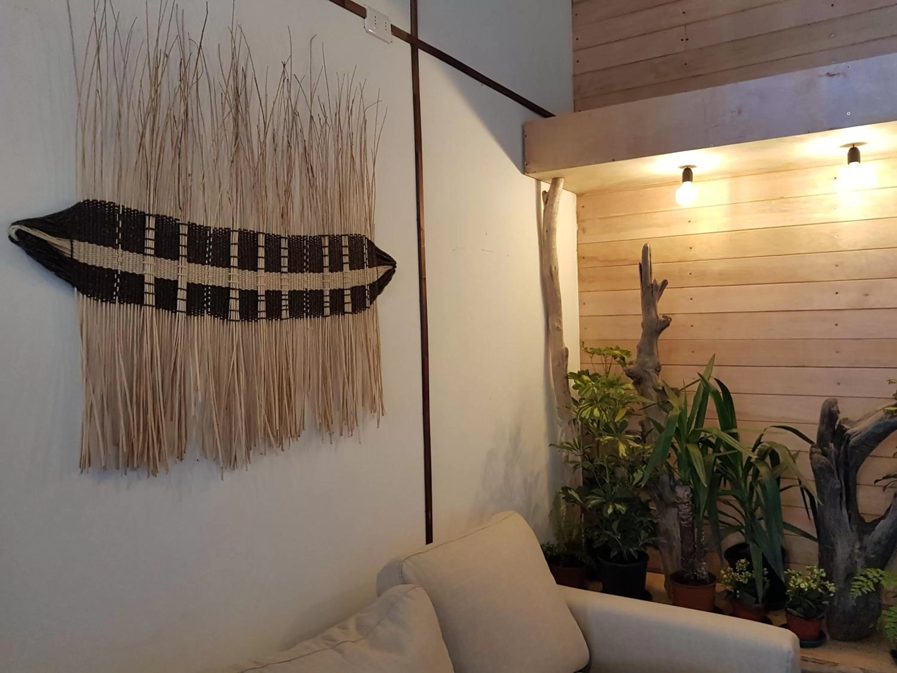 Lobby or reception in Hotel Tehuelche Natura