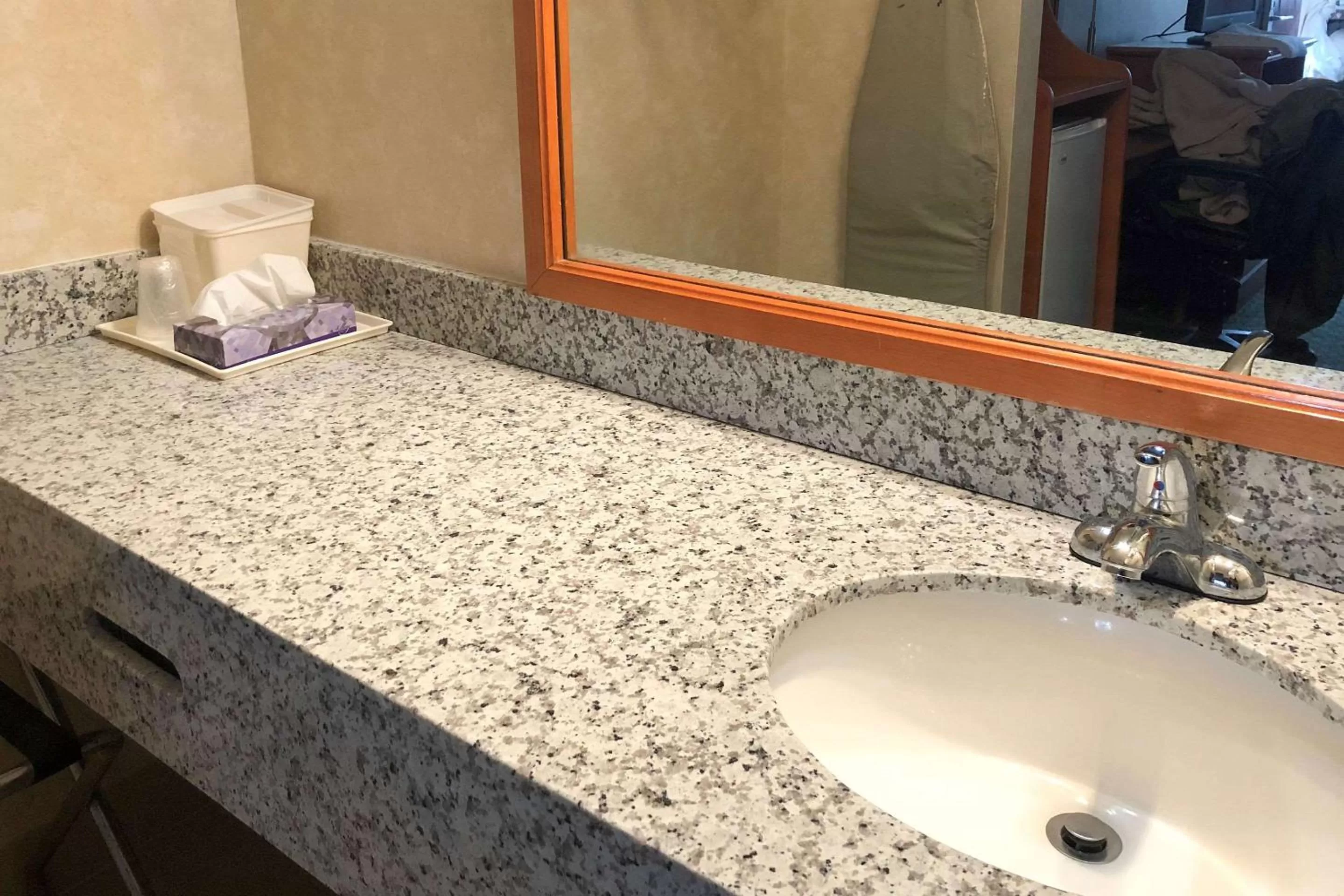 Bathroom in Quality Inn Petersburg Fort Lee Area