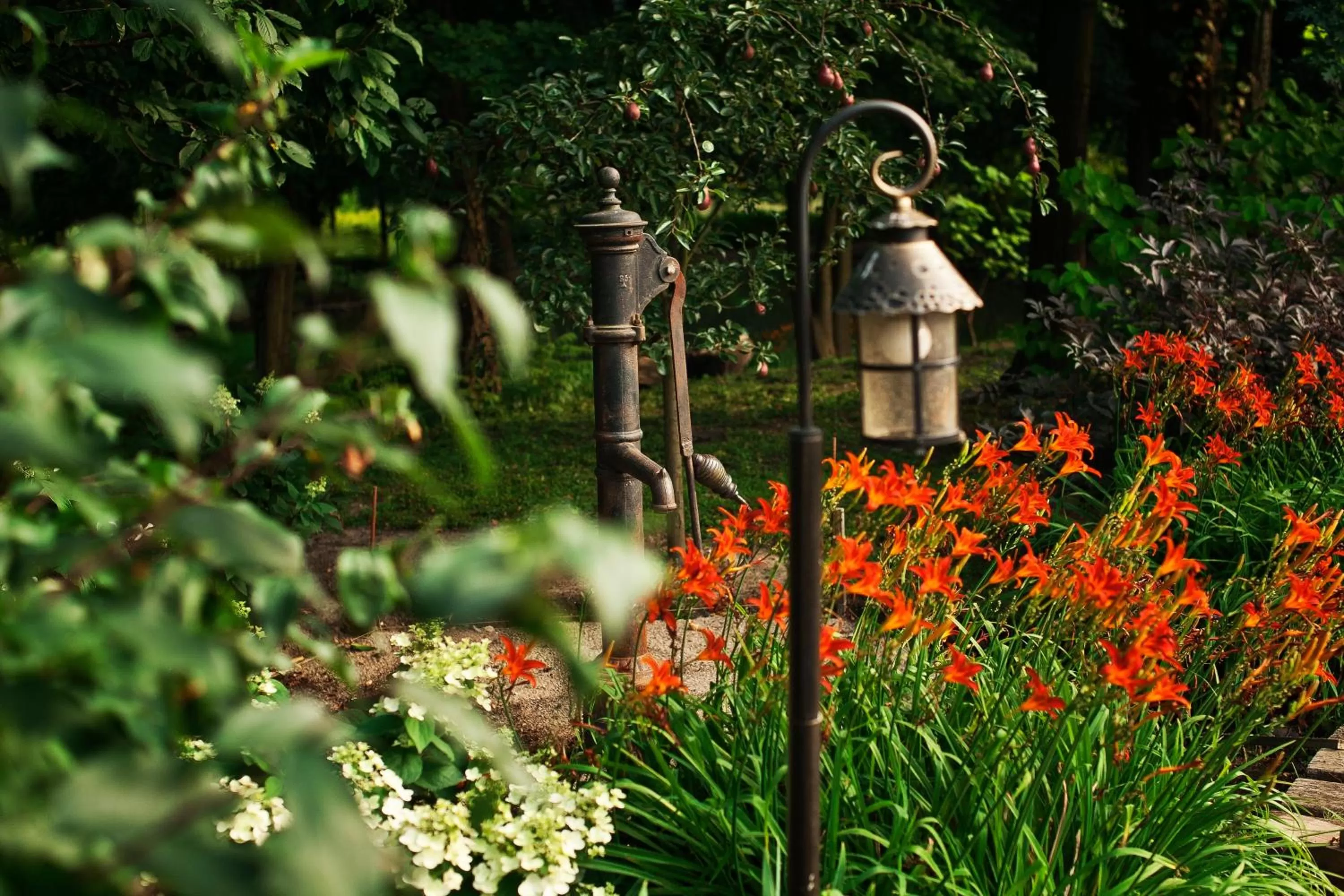 Garden in ForRest Hotel & Restaurant