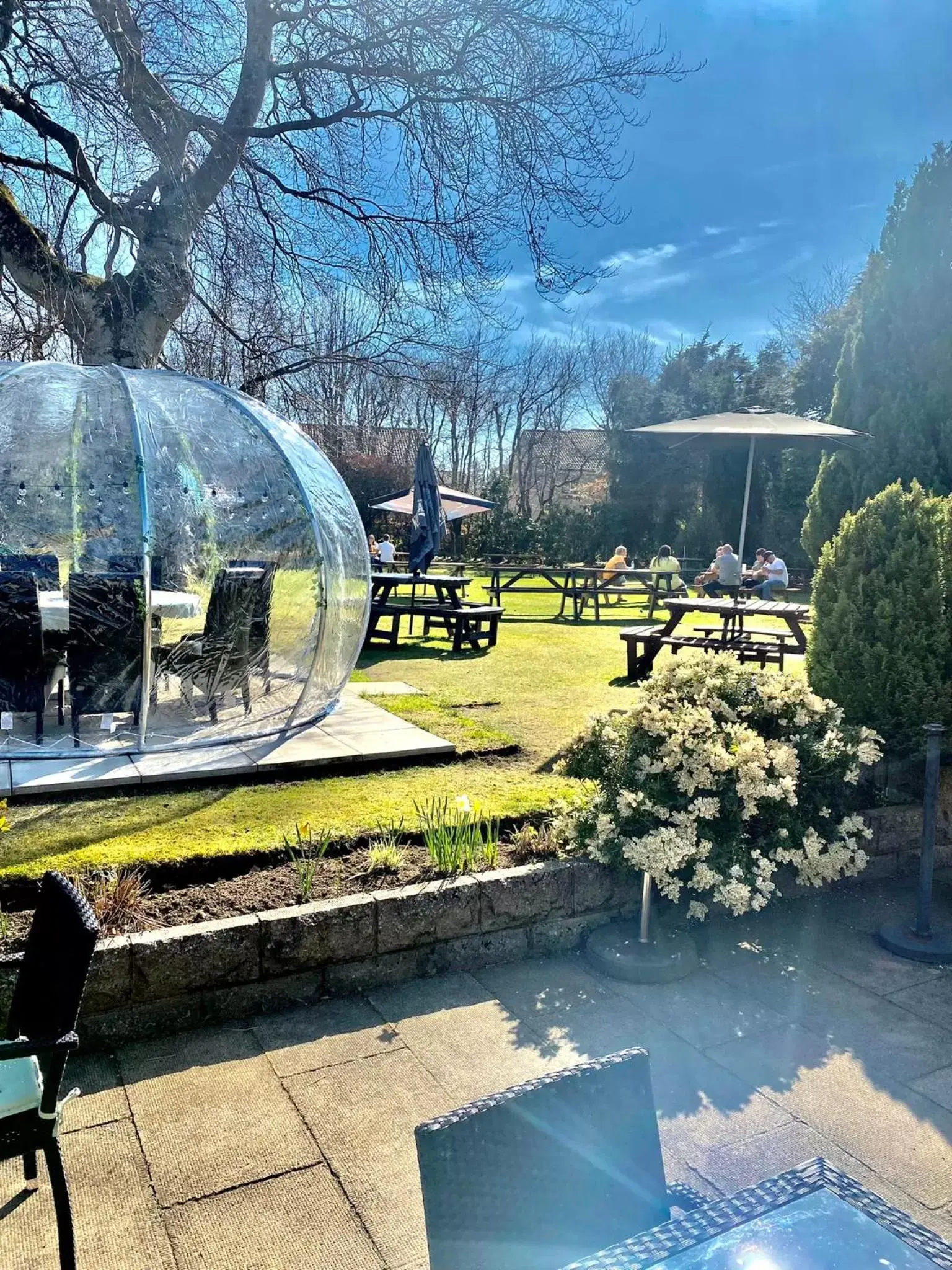 Garden view in Bennachie Lodge Hotel in Kemnay