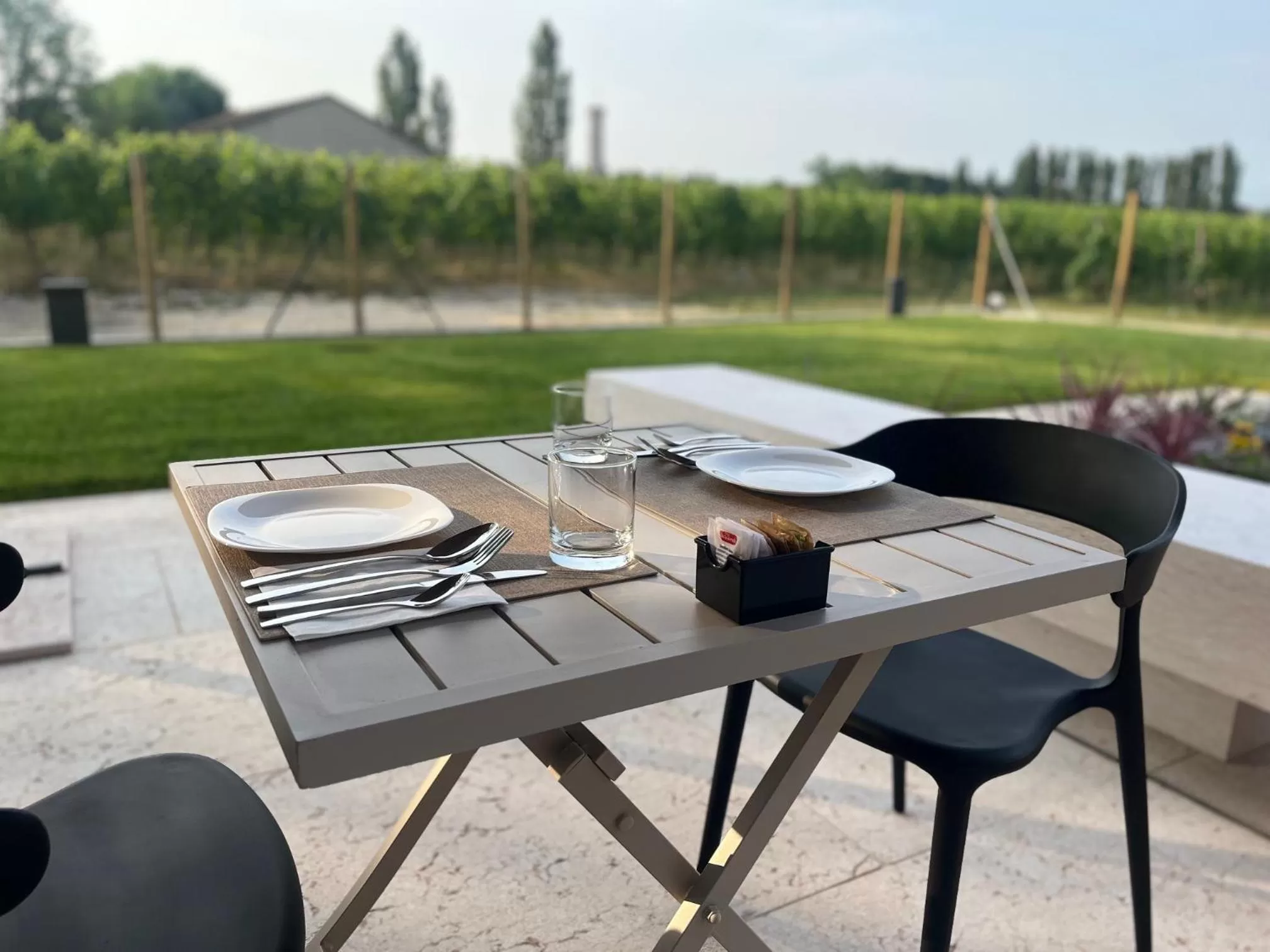 Garden in Il Vigneto