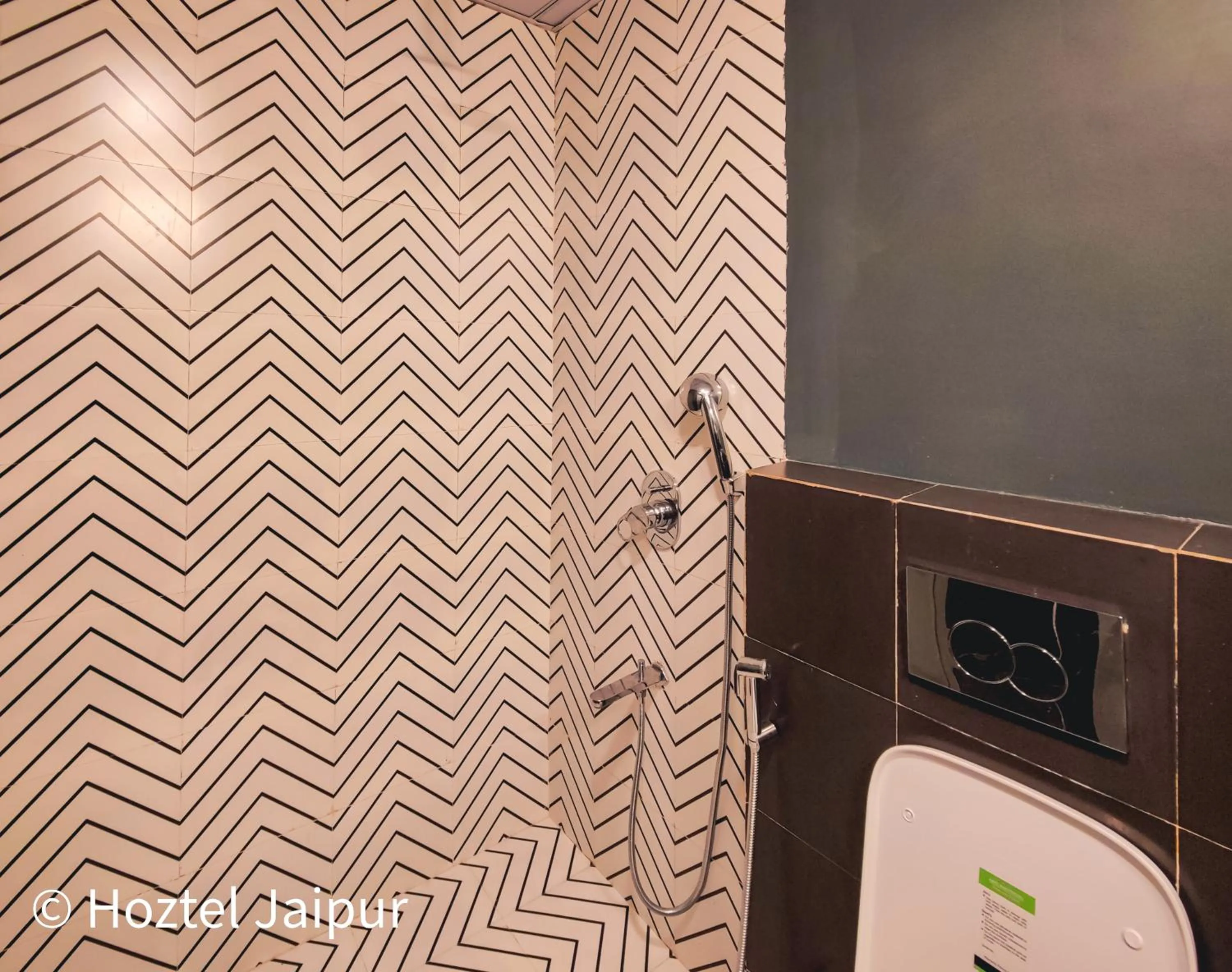 Shower in Hoztel Jaipur