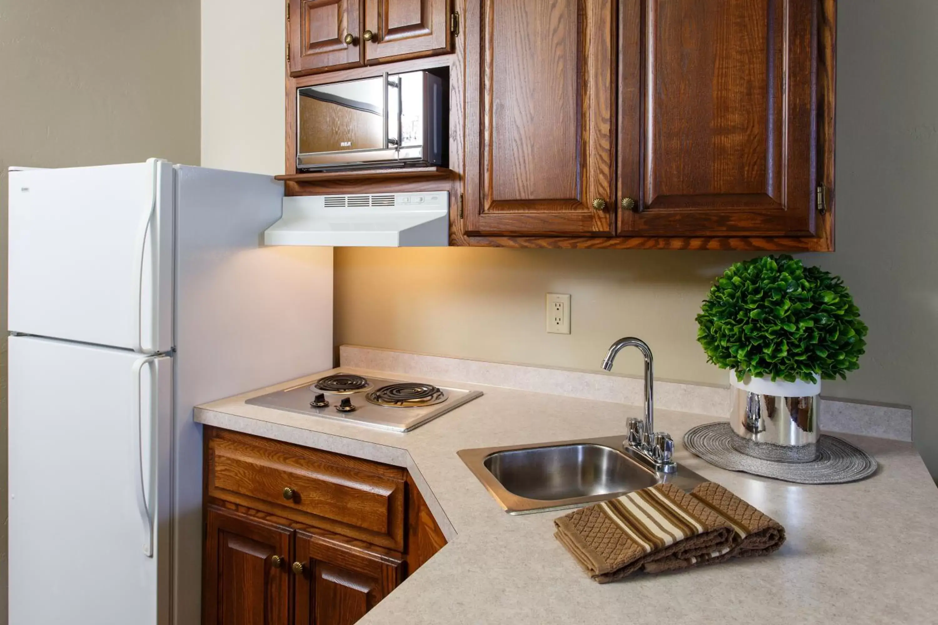 Kitchen/Kitchenette in Extended Stay Airport