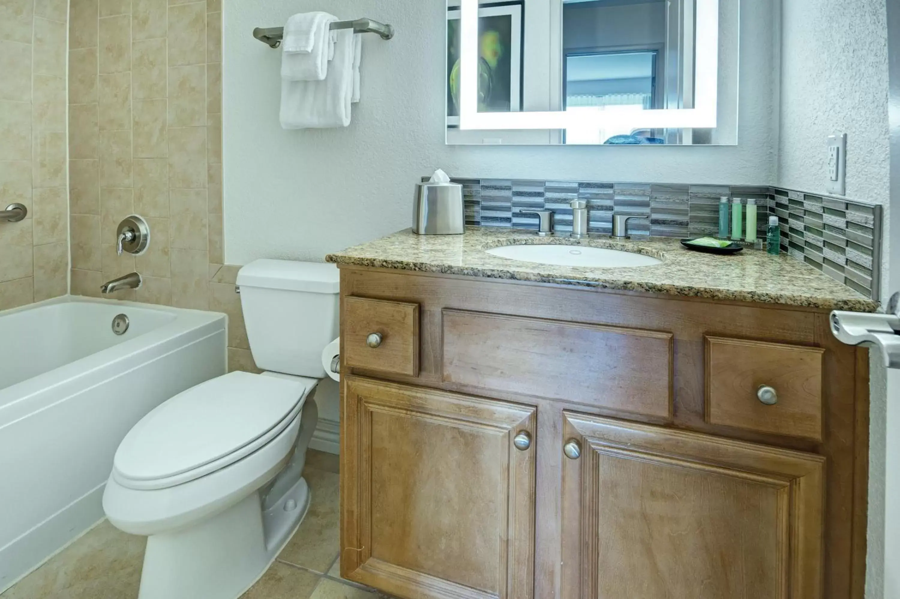 Bathroom in Desert Rose Resort