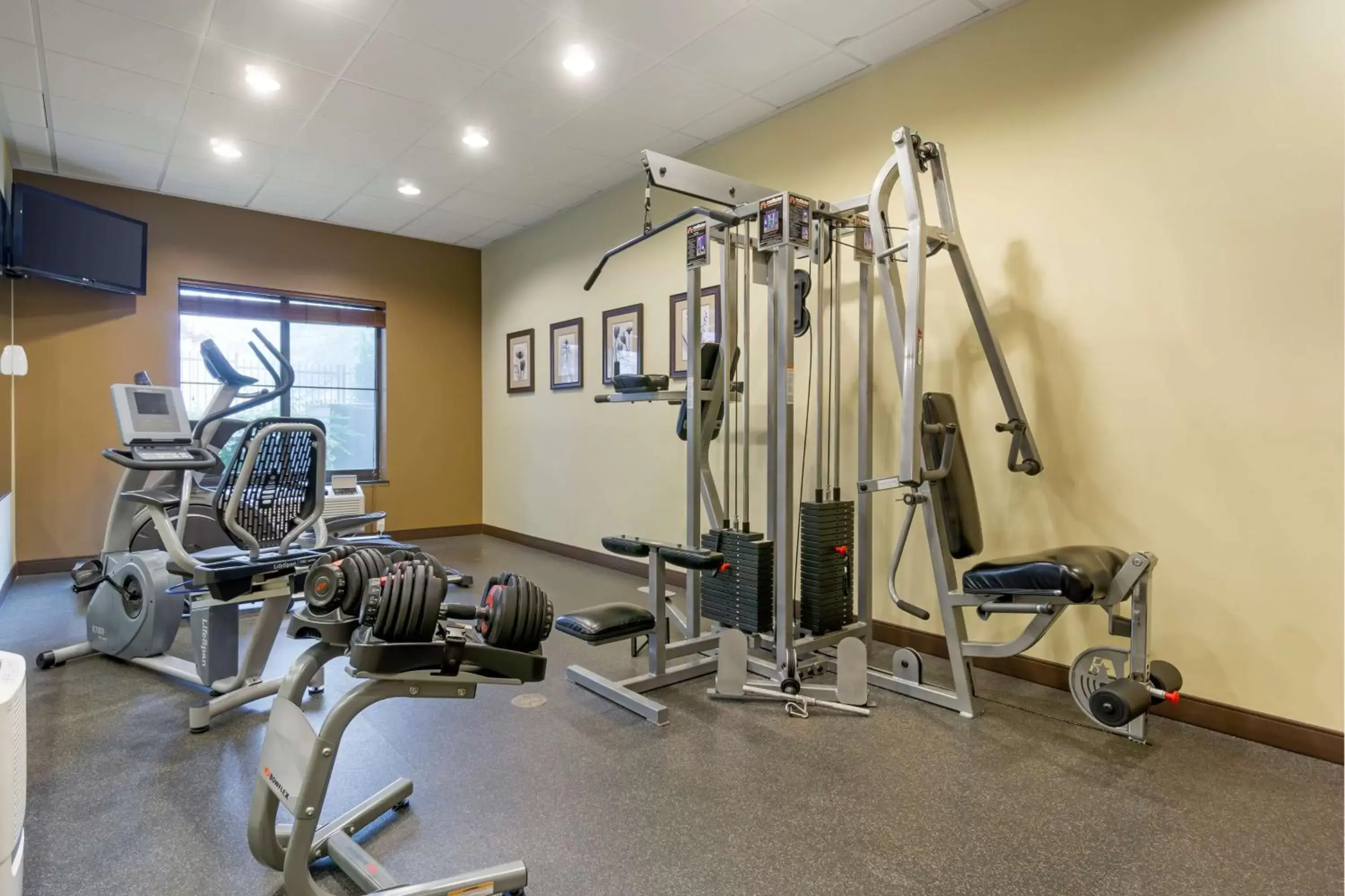 Fitness centre/facilities, Fitness Center/Facilities in Best Western Plus Lacey Inn & Suites