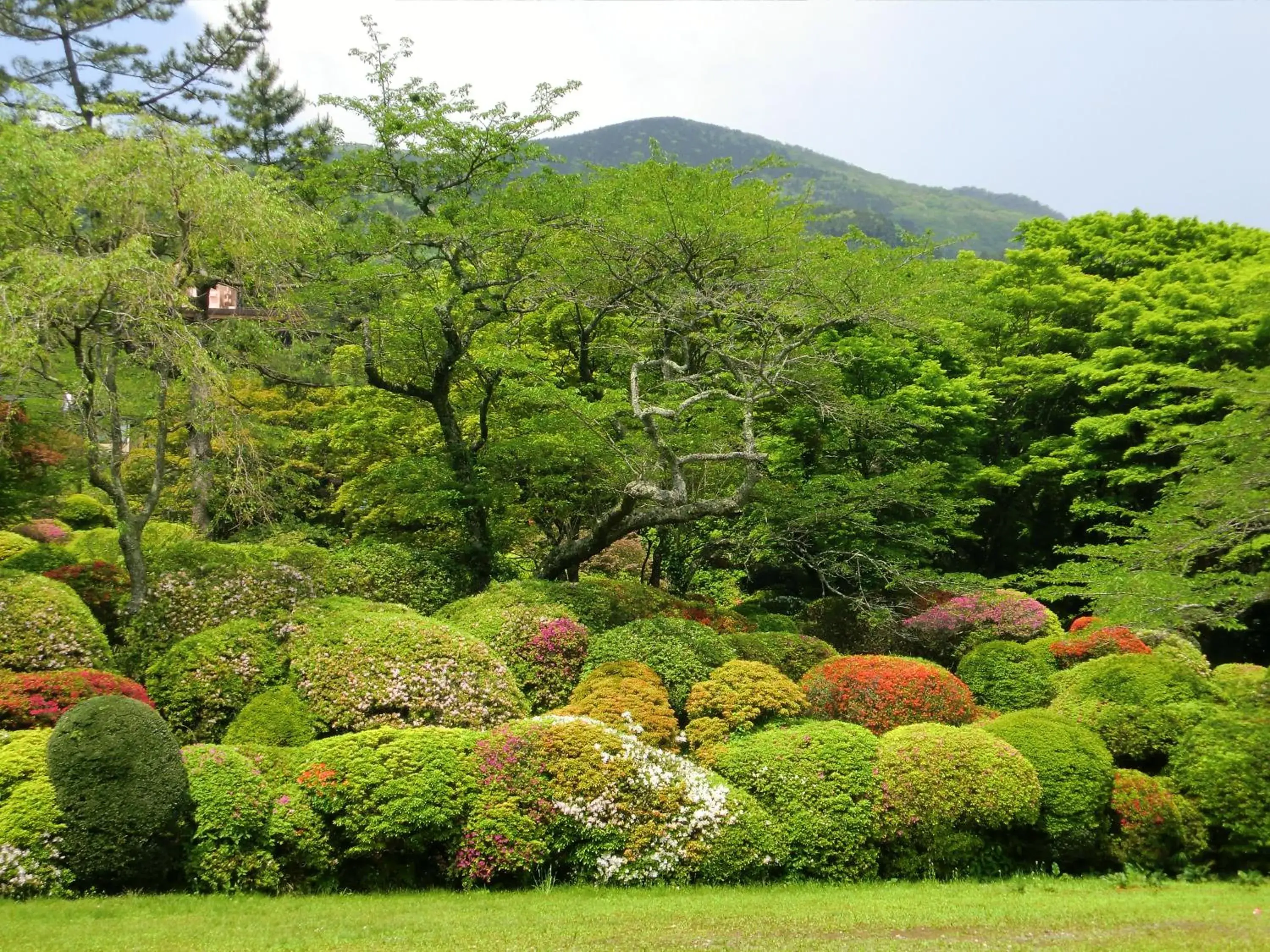 Garden in Hakone Kowakien Miyamafurin