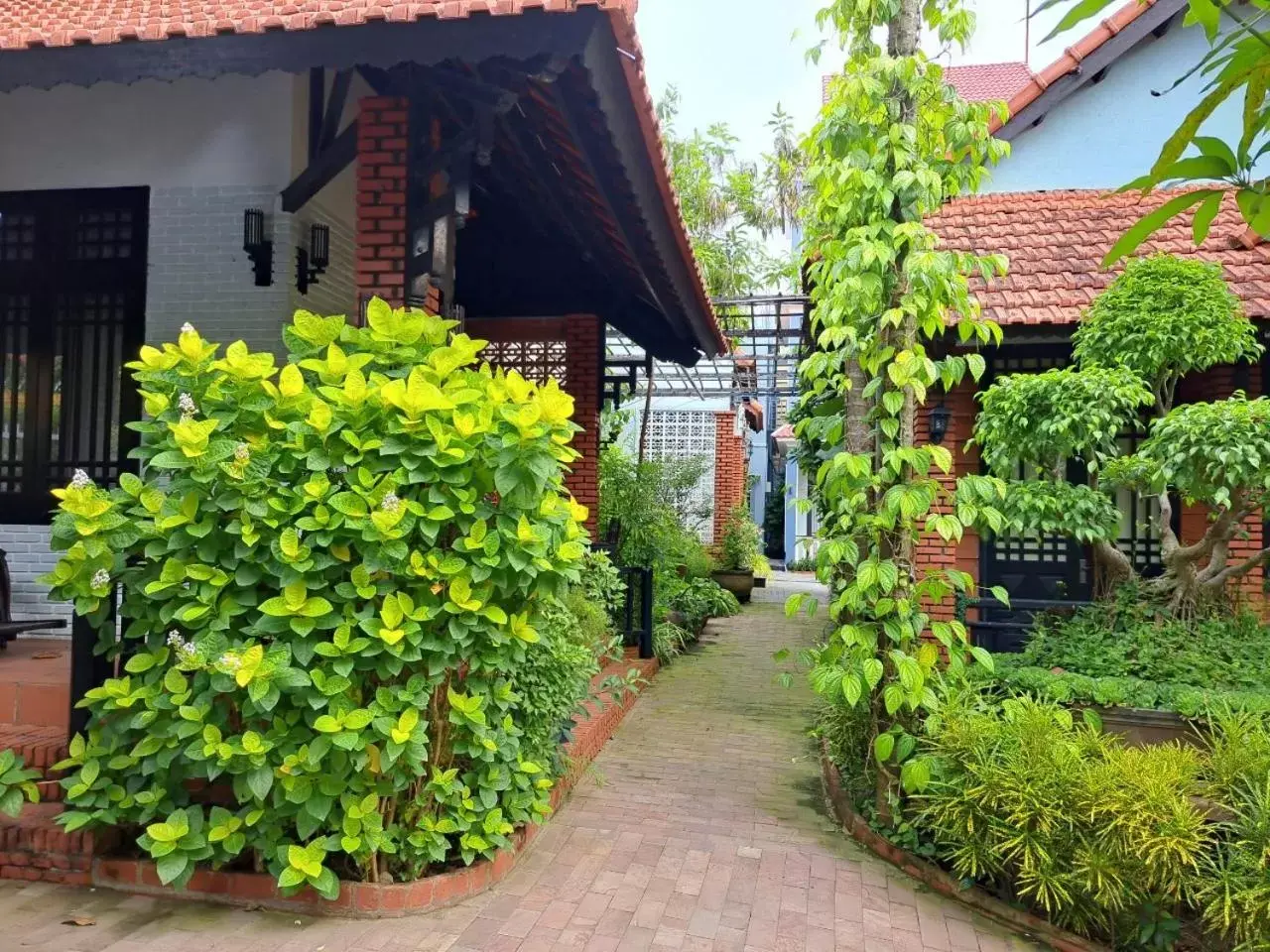 Garden, Property Building in Betel Garden Villa