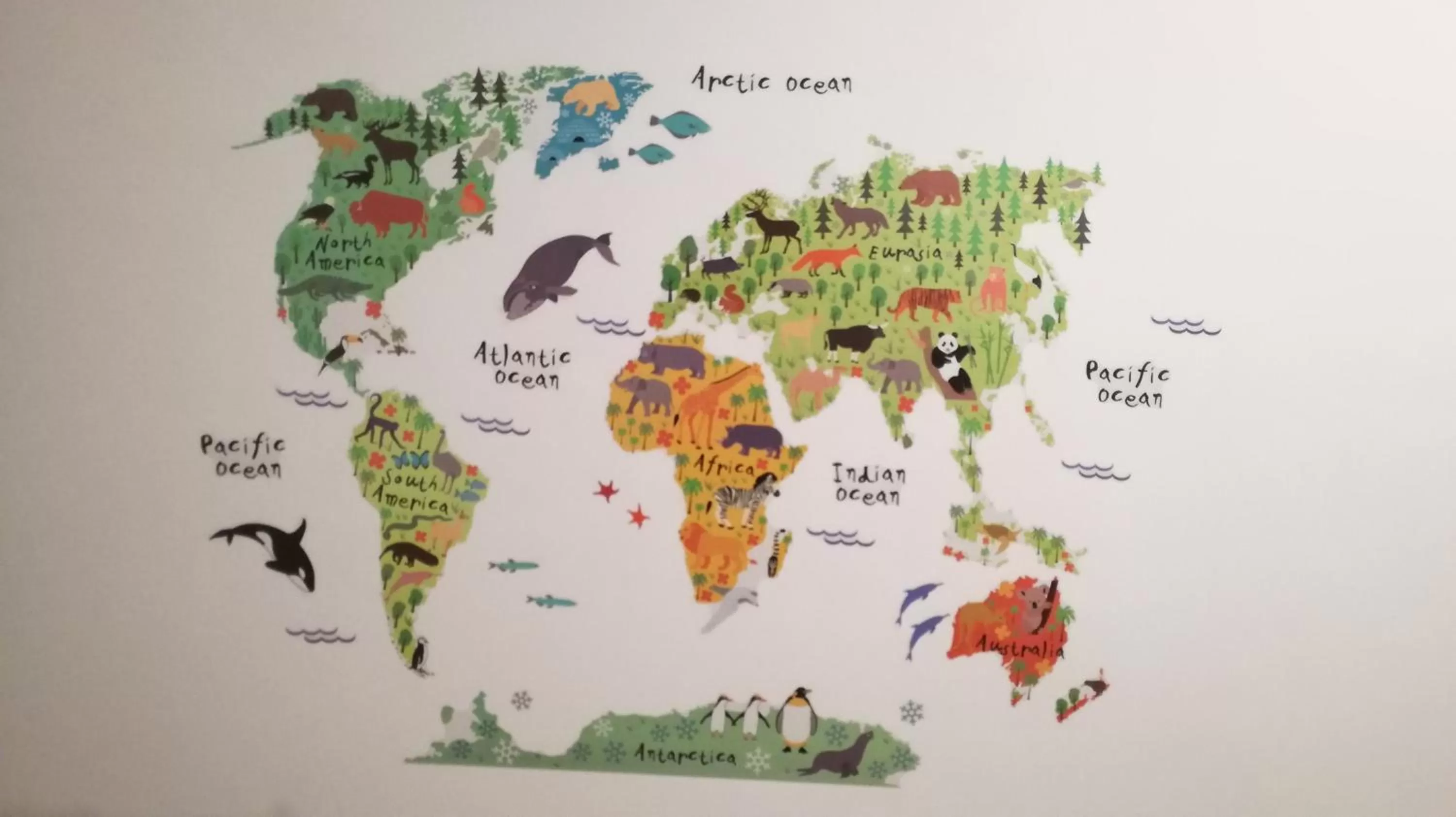 Bird's-eye View in Bonsai Bed & Breakfast