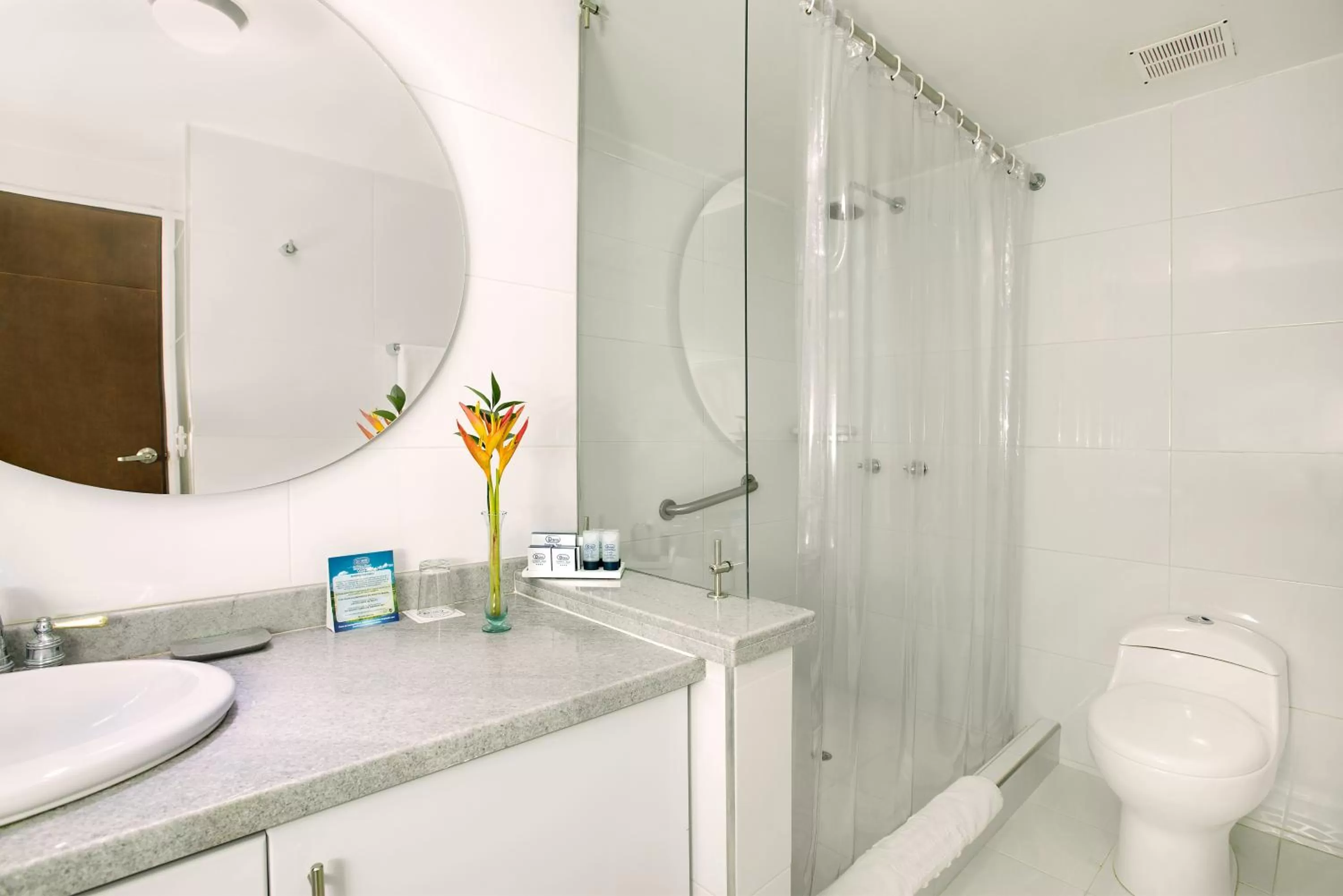 Shower in Hotel Dann Combeima