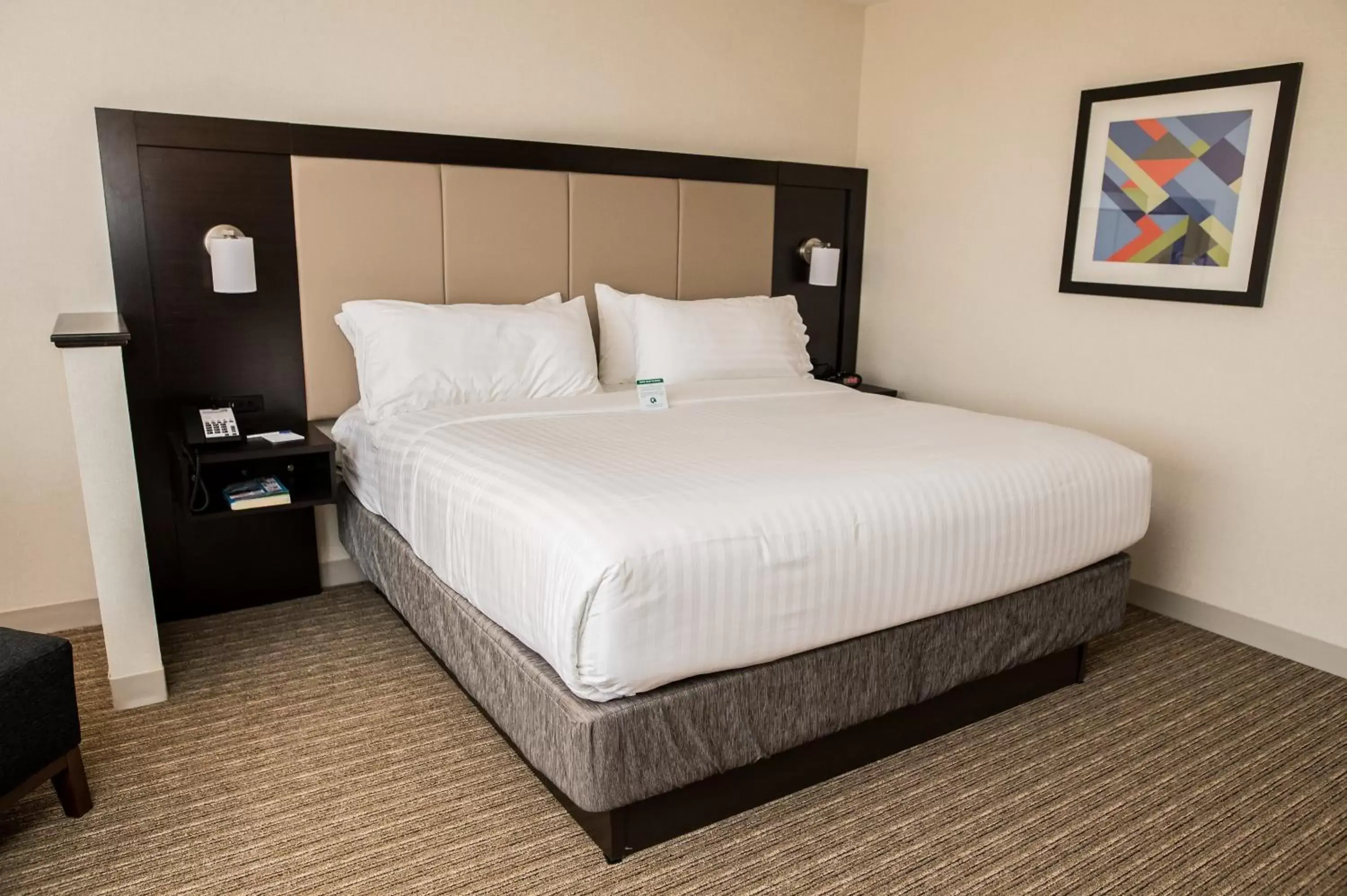 Photo of the whole room, Bed in Holiday Inn Express & Suites - Marietta, an IHG Hotel