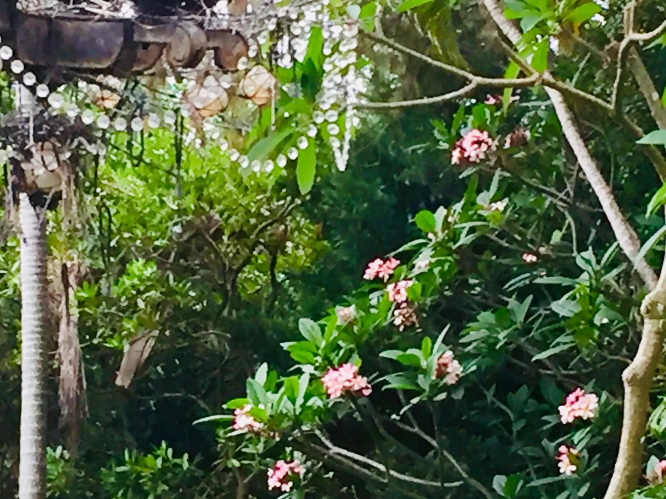 Spring in Sensom at Sapphire - Adults only B&B