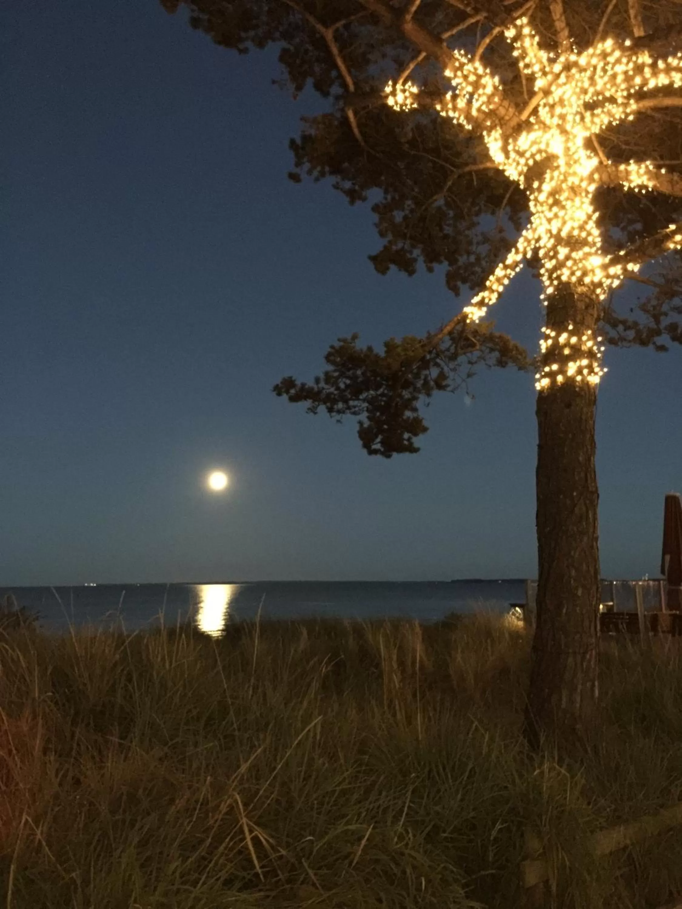 Night in Petersen's Landhaus