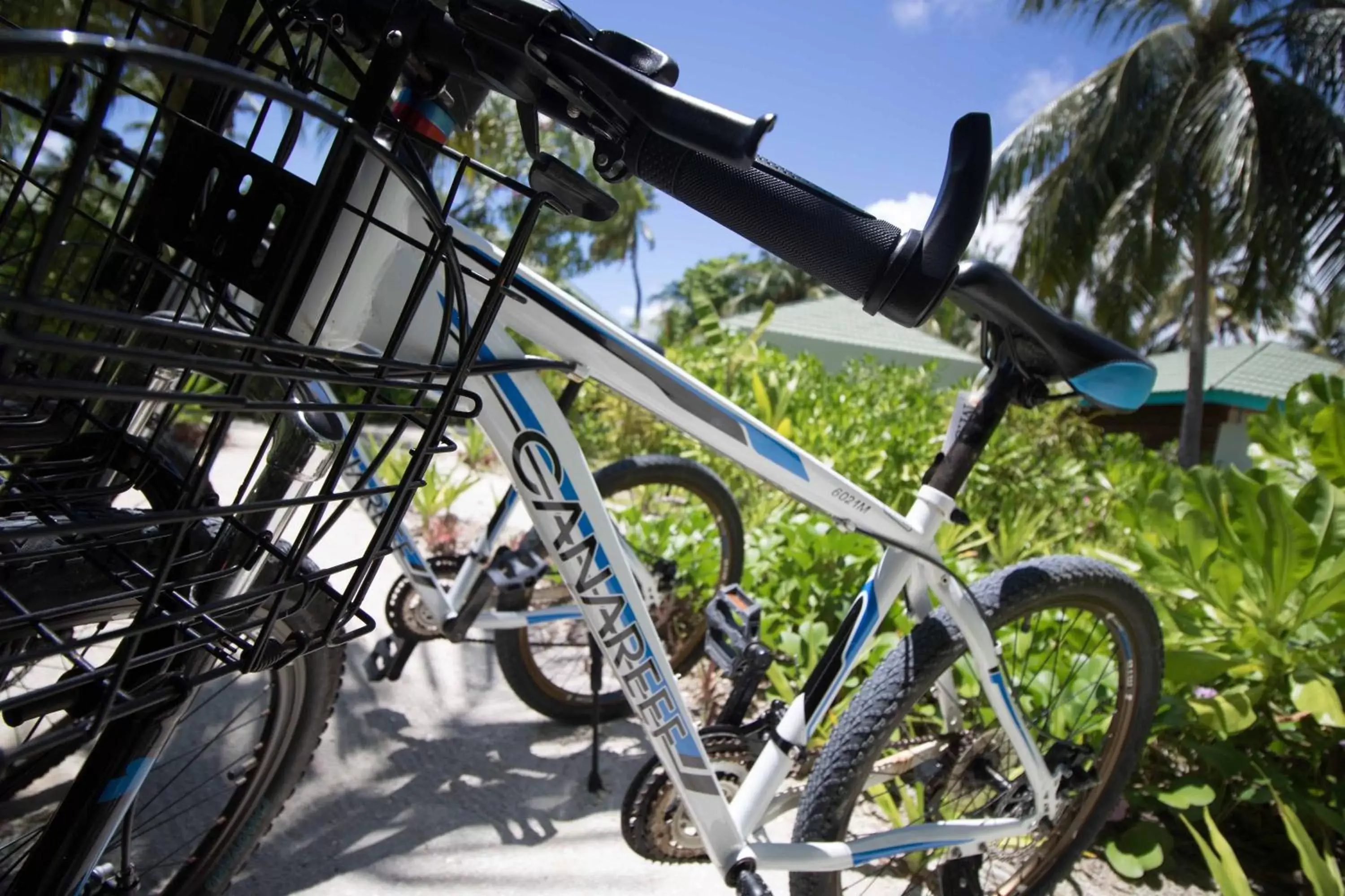 Cycling, Biking in Canareef Resort Maldives