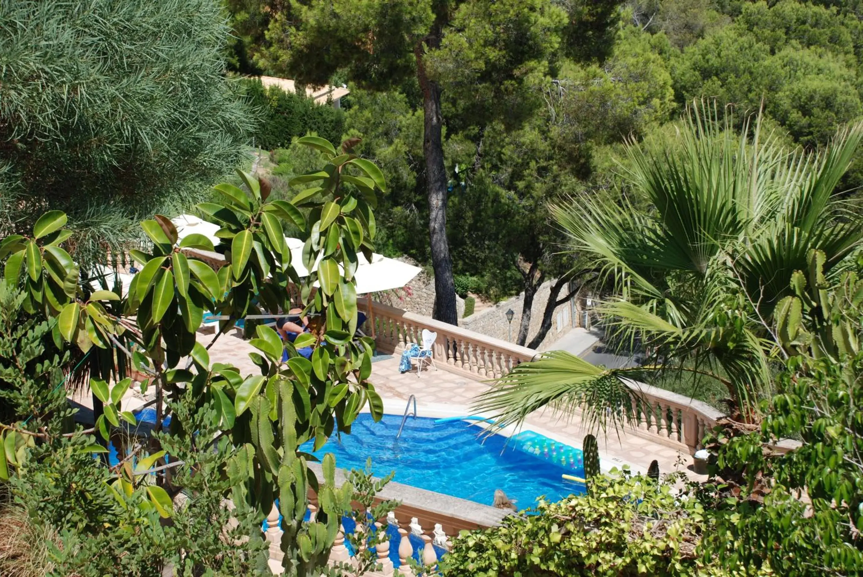 Swimming pool, Pool View in Hotel Petit Cala Fornells