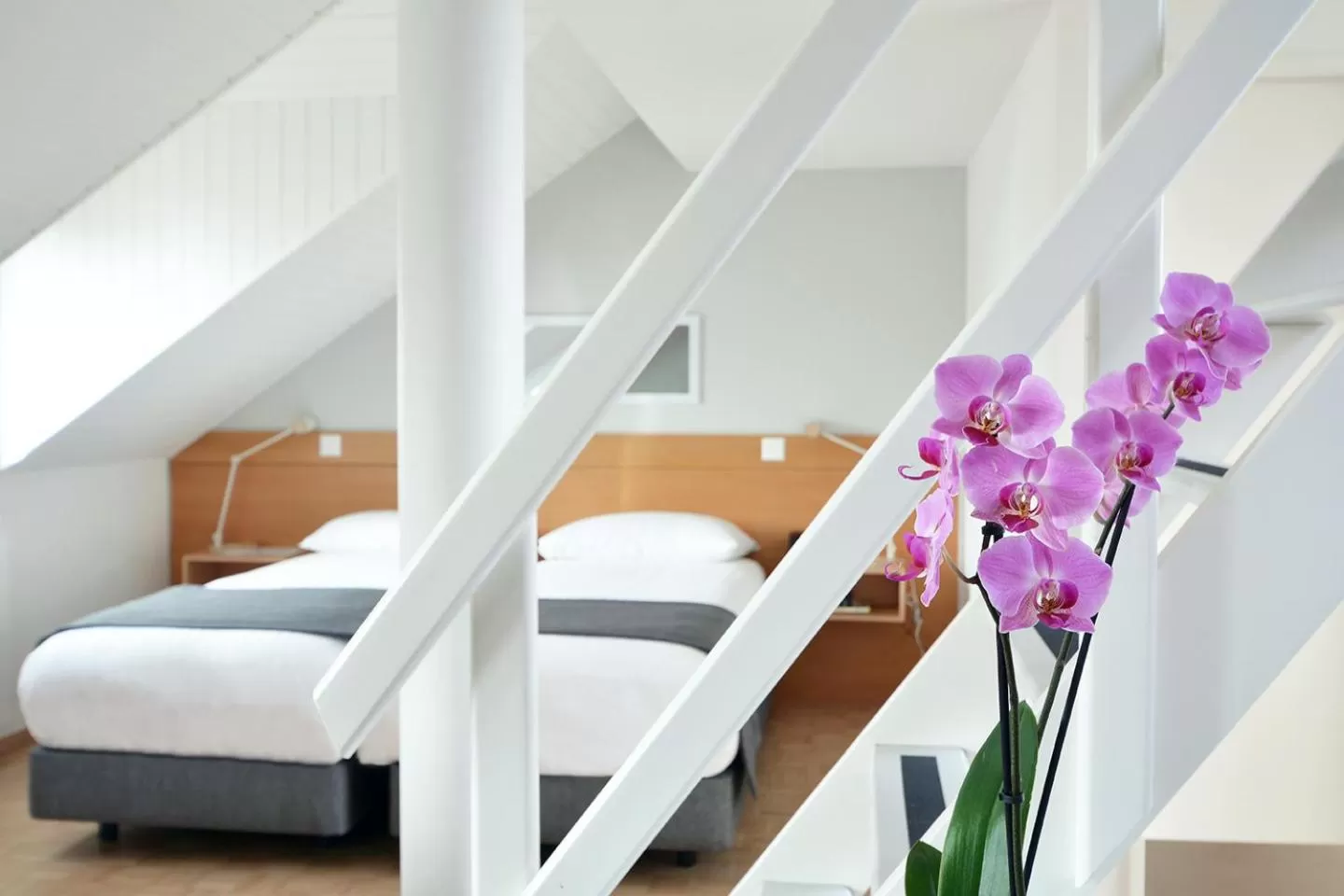 Photo of the whole room, Bed in Hotel des Alpes