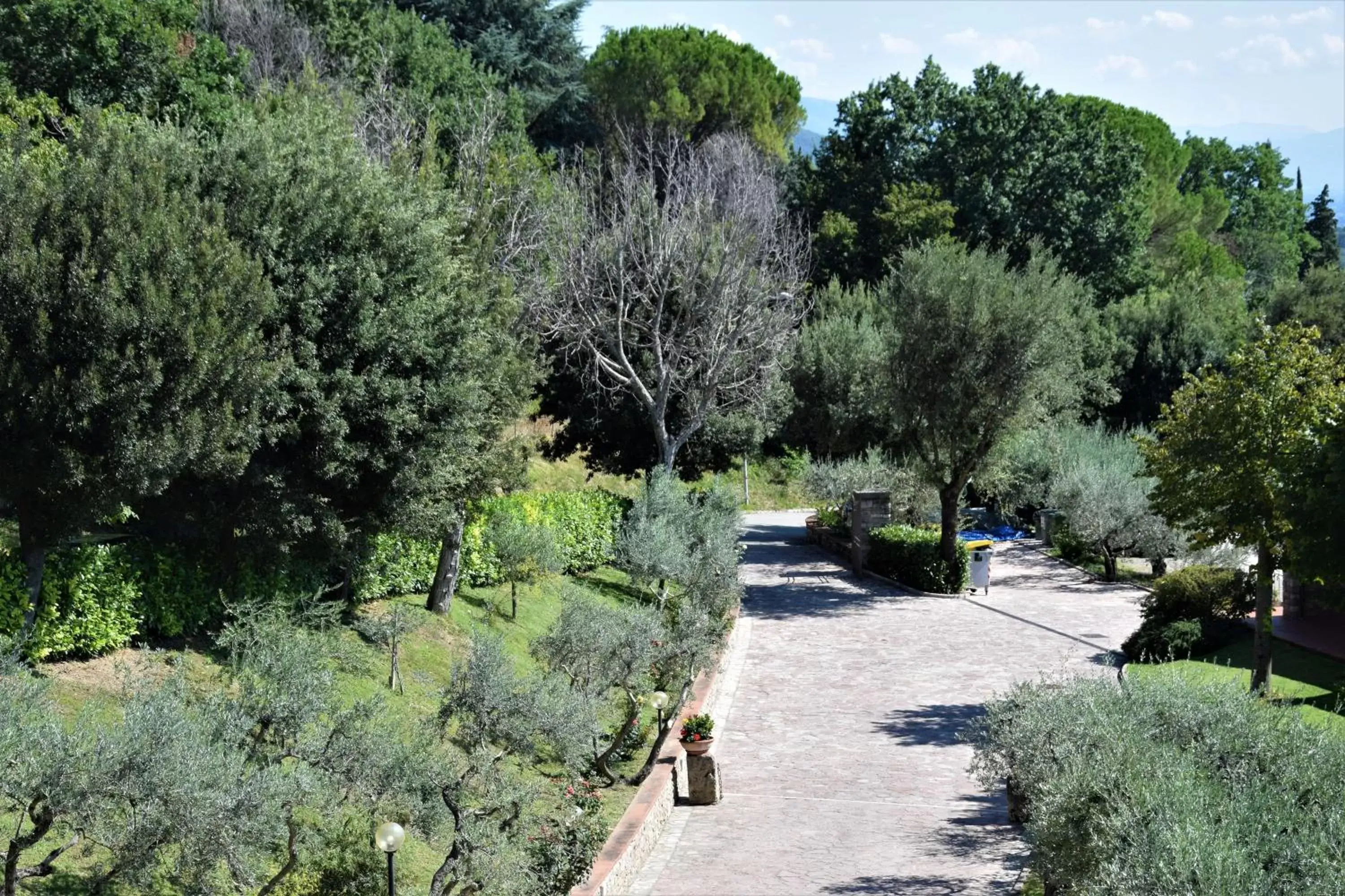 Garden in Hotel La Terrazza RESTAURANT & SPA