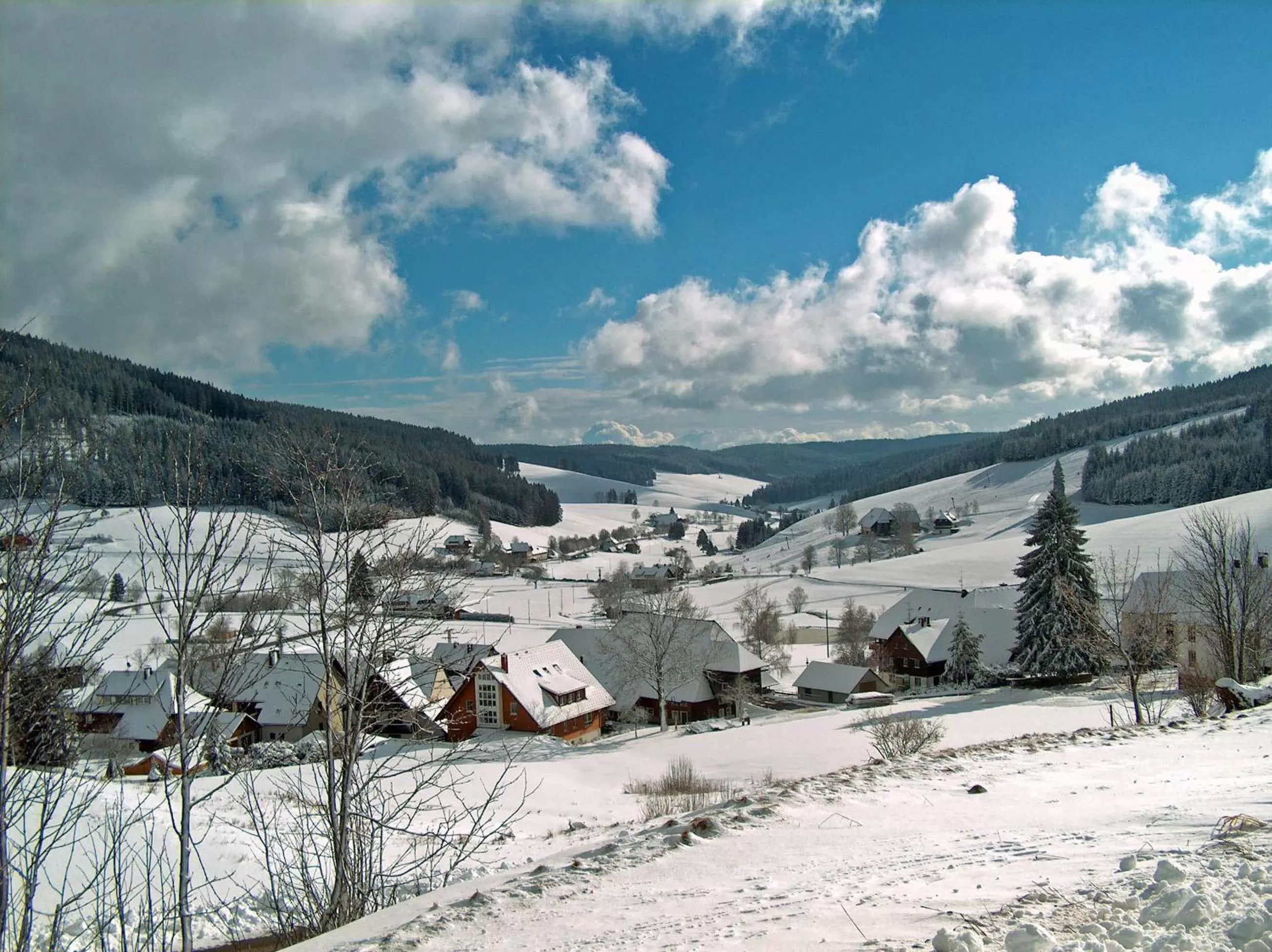 Natural landscape in ZUR TRAUBE Schwarzwaldhotel & Restaurant am Titisee