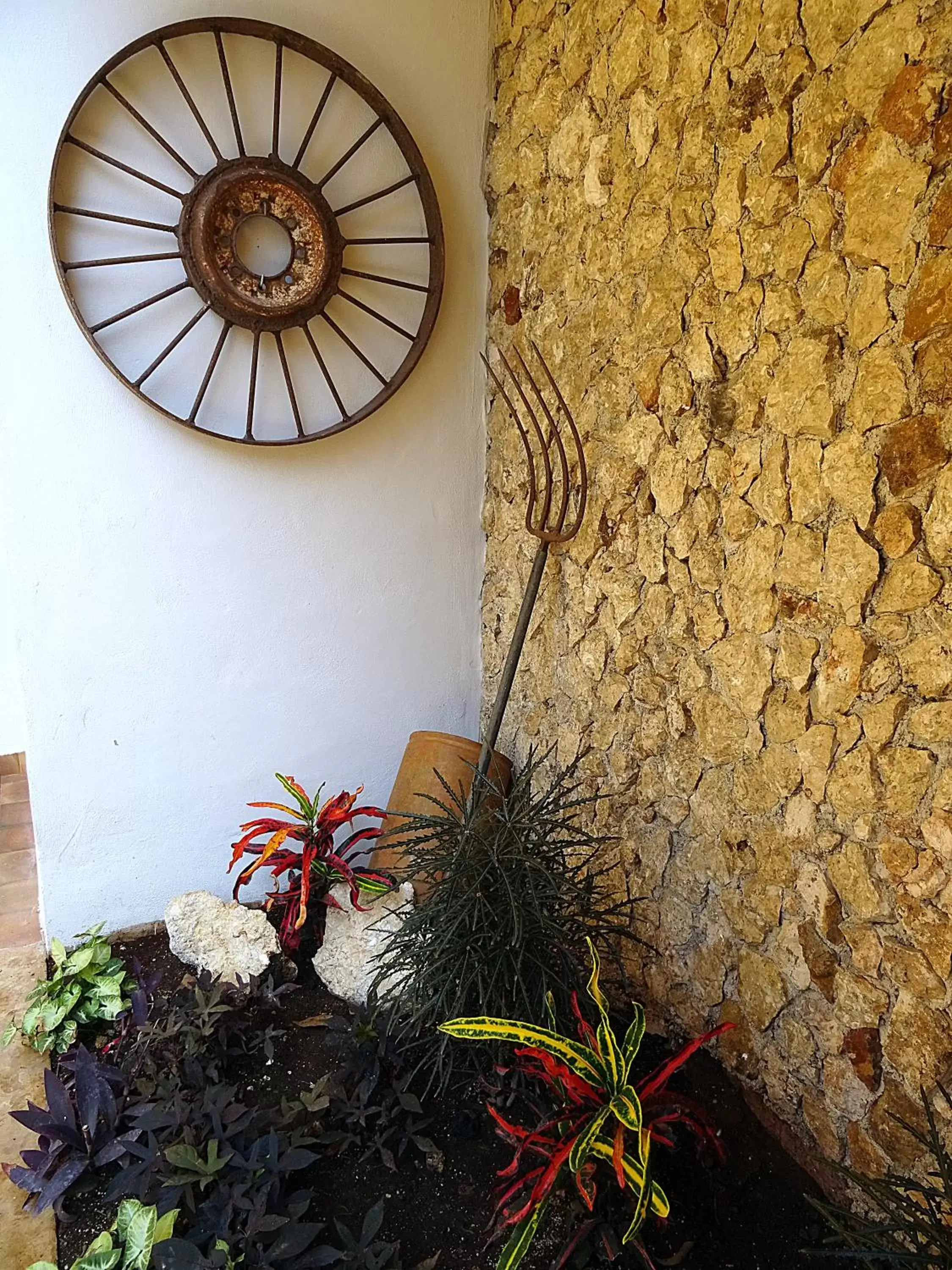 Balcony/Terrace in Hotel Boutique Casa Flor de Mayo