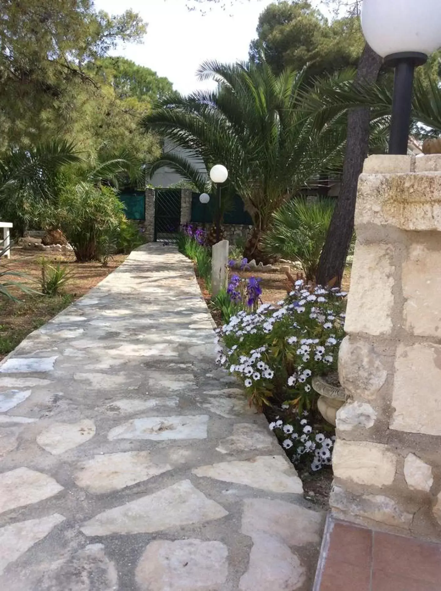 Garden in Villa Soleanna Residence