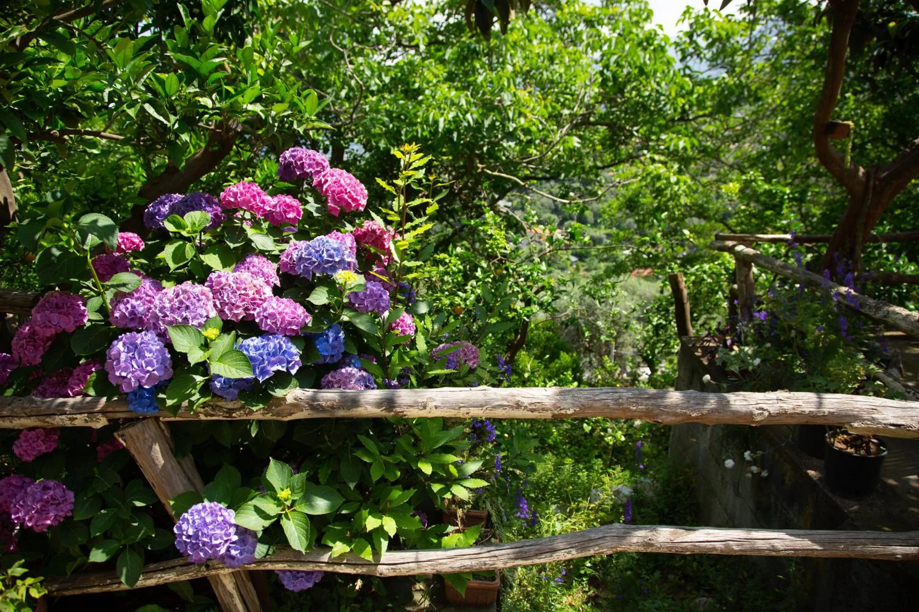 B&b L' Arancio in fiore