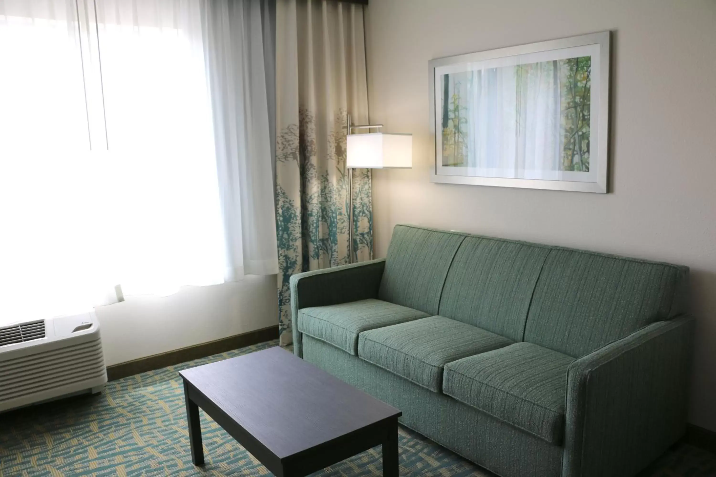 Living room, Seating Area in Holiday Inn Express & Suites - Hendersonville SE - Flat Rock, an IHG Hotel