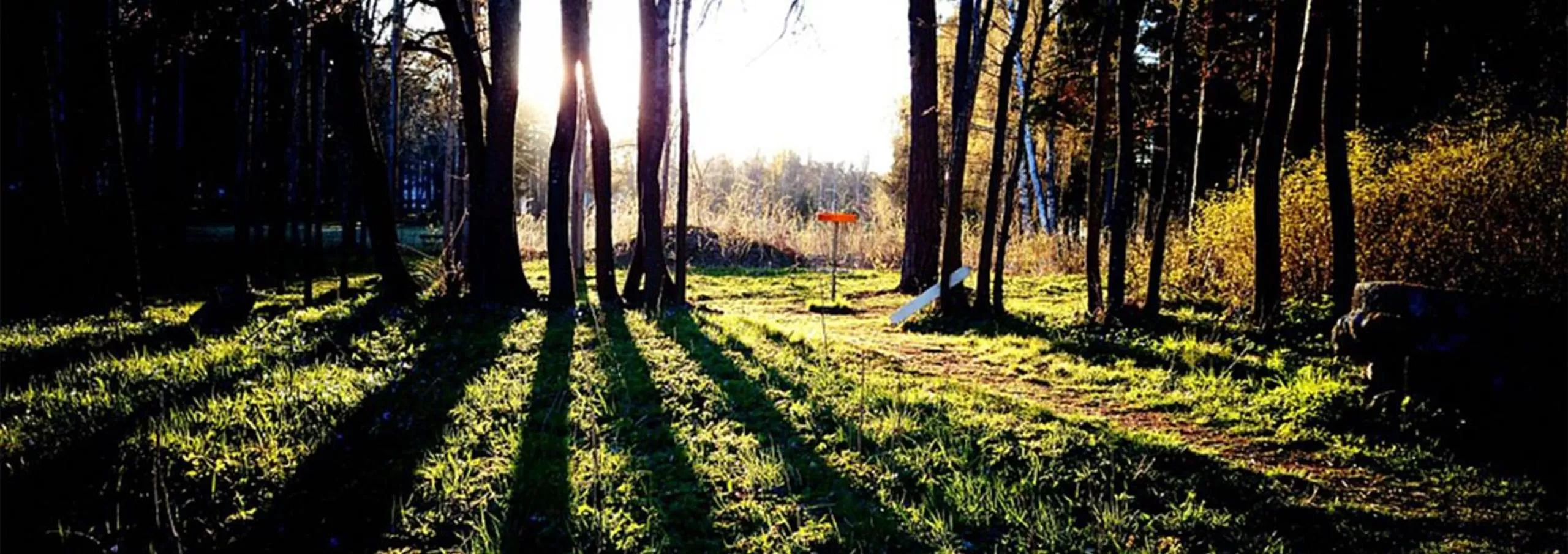 Spring in Romantik Berghotel Astenkrone