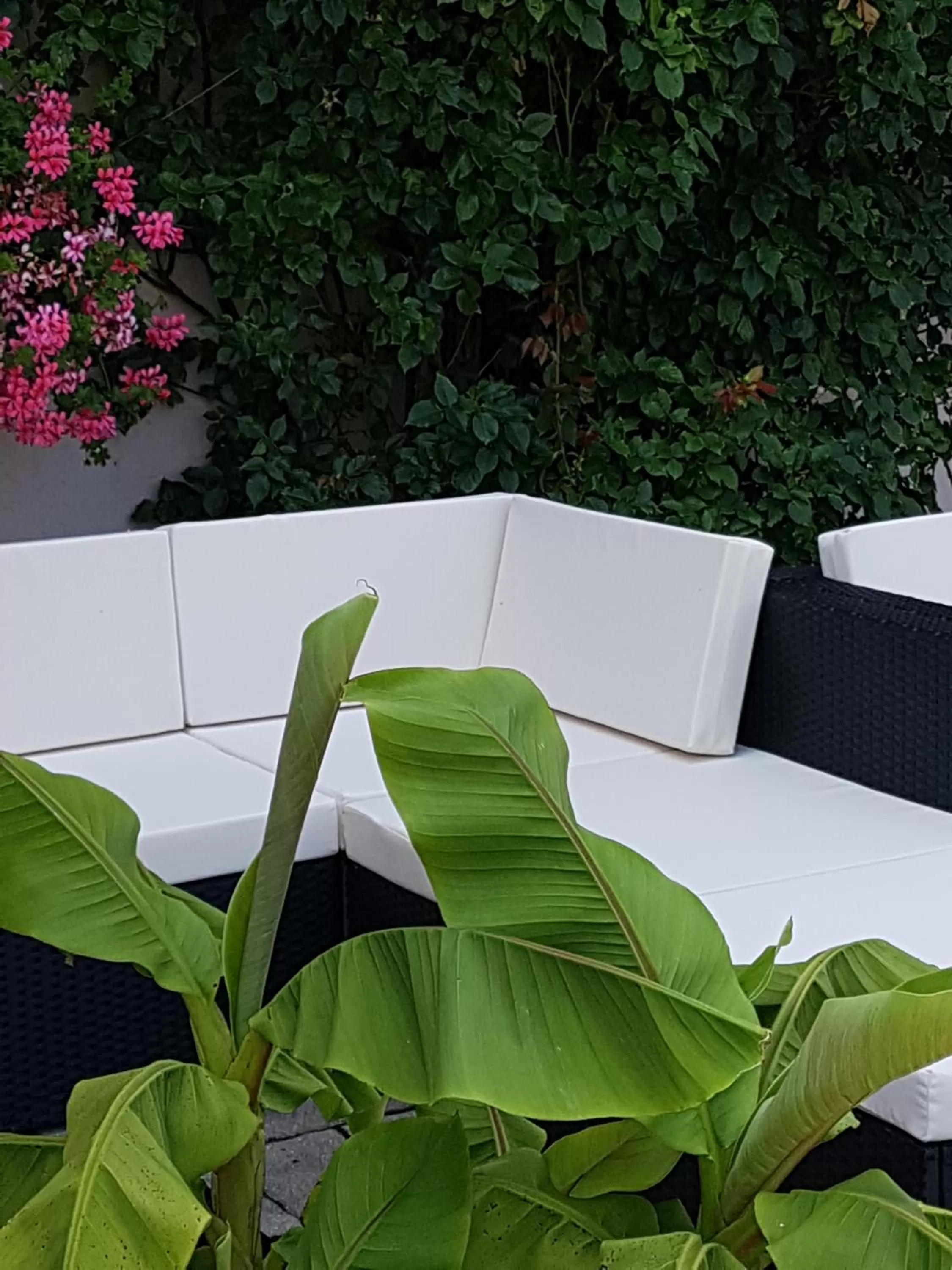 Patio in Kurhotel Anders